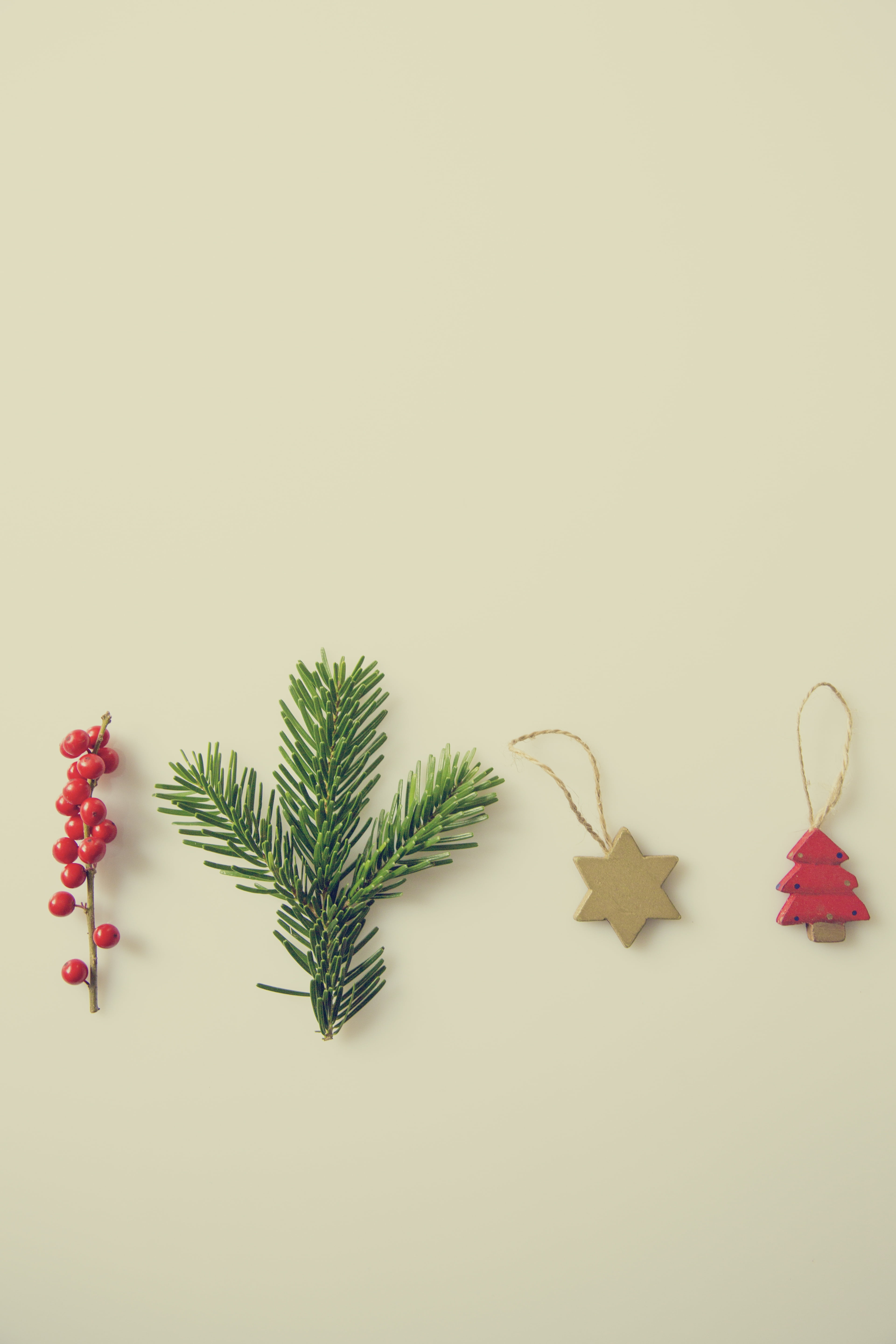 flower, leaf, plant, holly, lifestyle, art and craft, themed, tree, creativity, fragility, poinsettia, characters, needle - plant part, green, christmas decoration, Phone HD Wallpaper