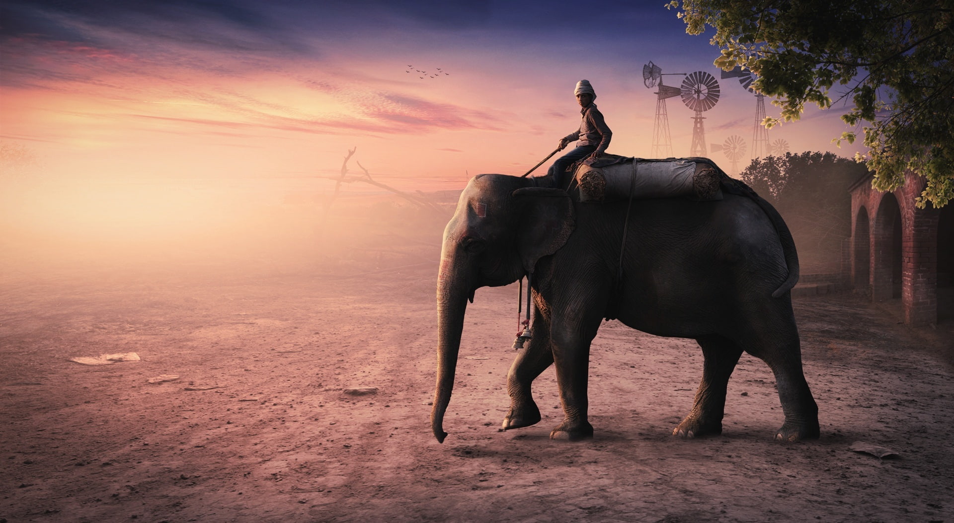 man, animal themes, sunset, mammal, tree, domestic animals, animal, herbivorous, animals in the wild, paradise, environment, plant, 1080P, Creative, elephant, HD Wallpaper