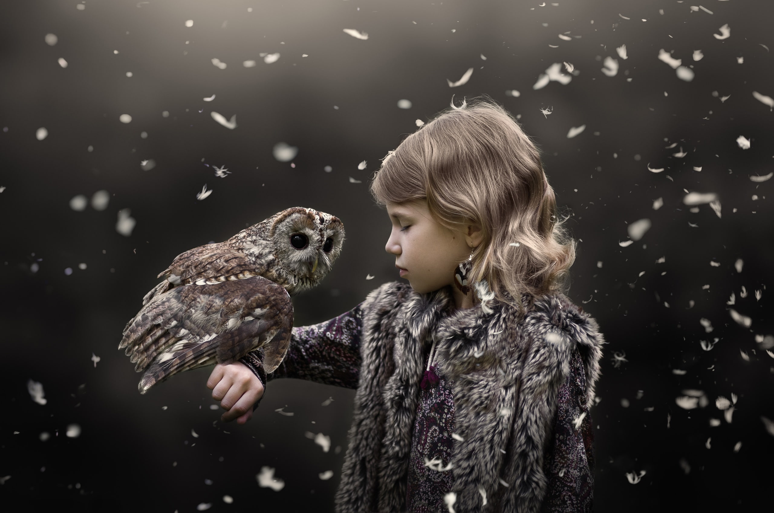 animals, 2K, children, fantasy girl, owl, HD Wallpaper