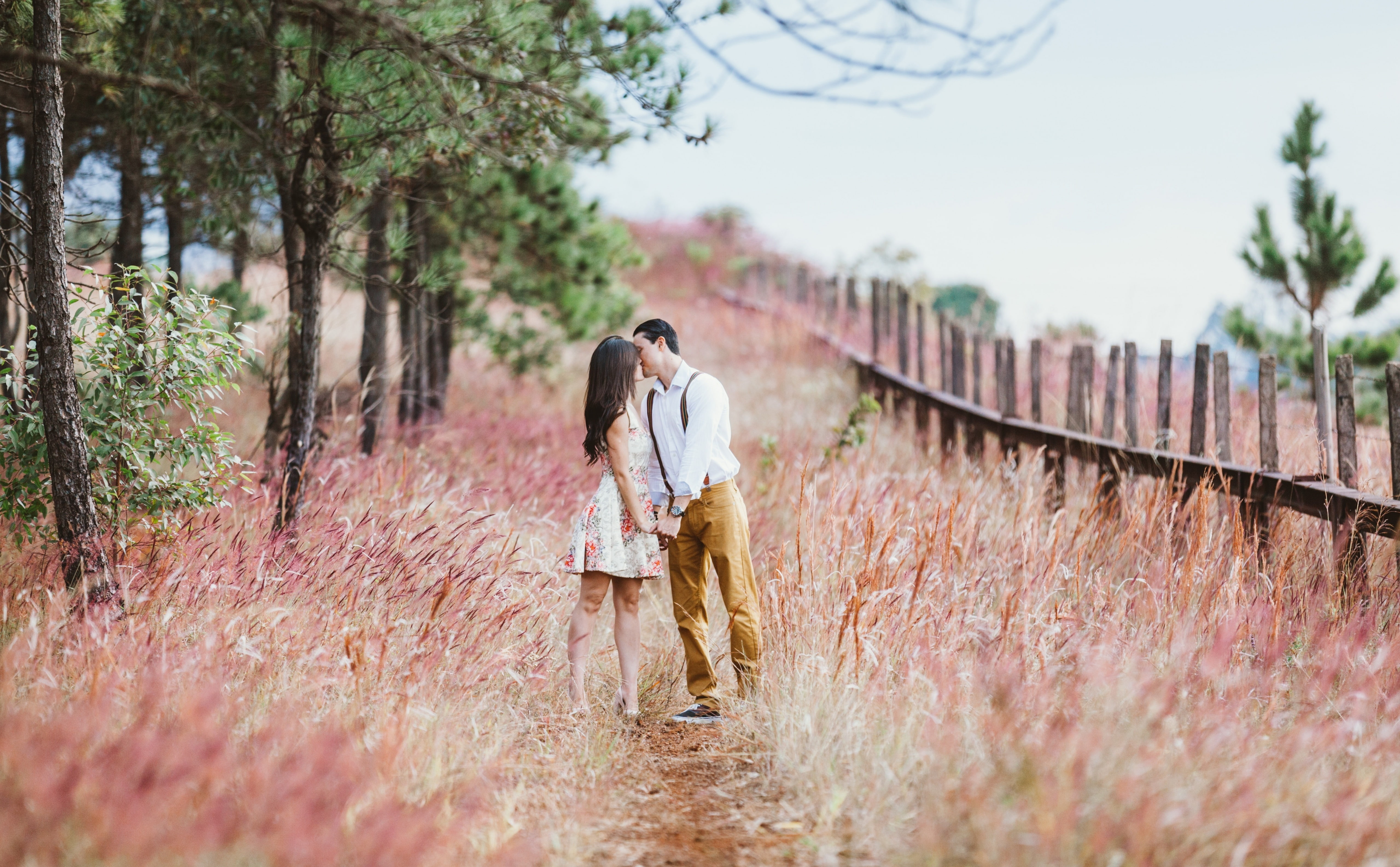 Walk, 5K, Wind, People, Romantic, rear view, kissing, land, Summer, clothing, girlfriend, Path, Marriage, Nature, field, Lovers, one person, couple, full length, HD Wallpaper