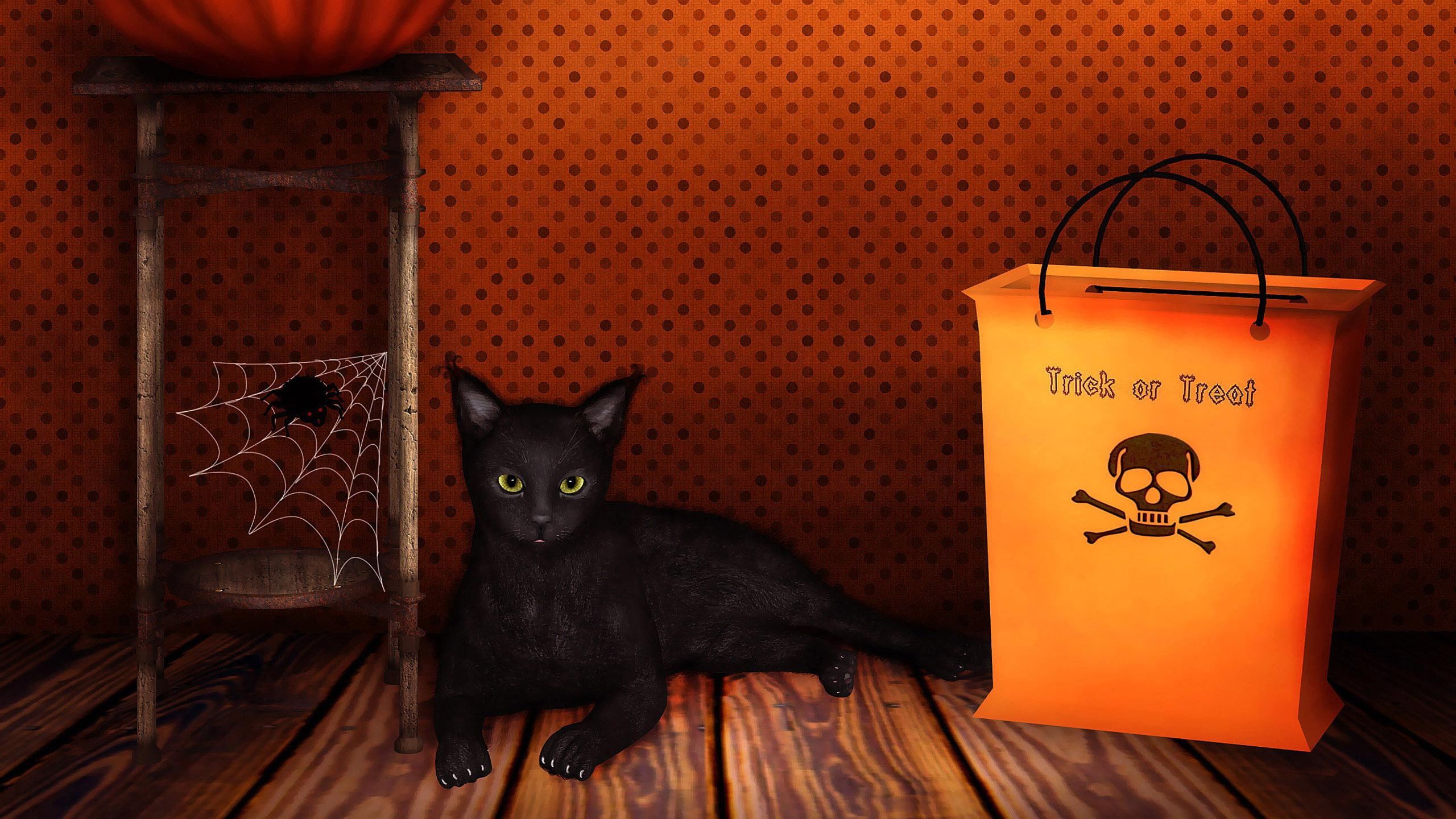 holidays, 2560x1440, kitten, black, illustration, halloween, 2K, cat, HD Wallpaper