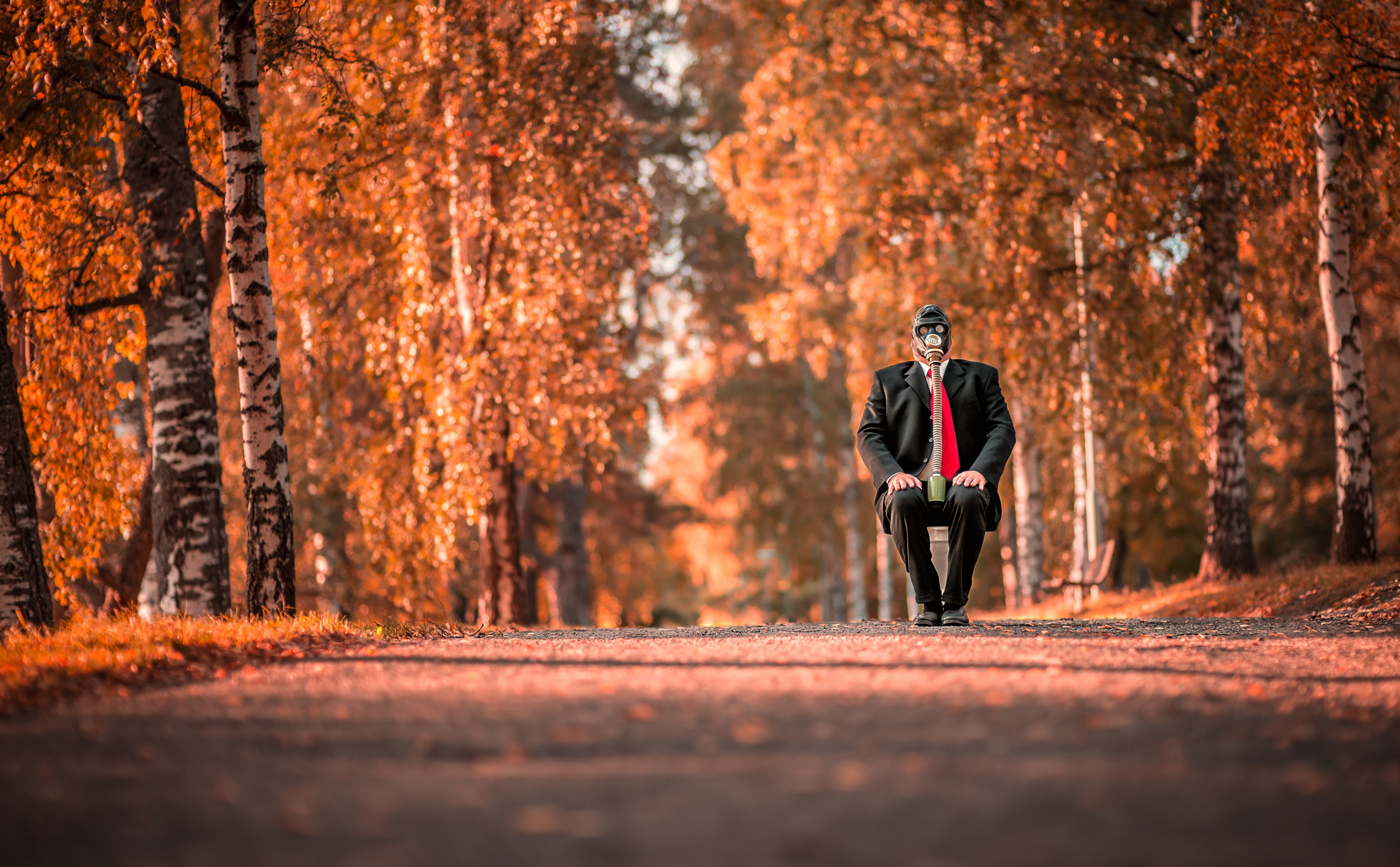 Autumn, nature, outdoors, Creative, suomi, Finland, 5K, tree, one person, golden, Waste, sport, Mask, Prime, forest, Money, nikon, moment, pohjoissavo, HD Wallpaper