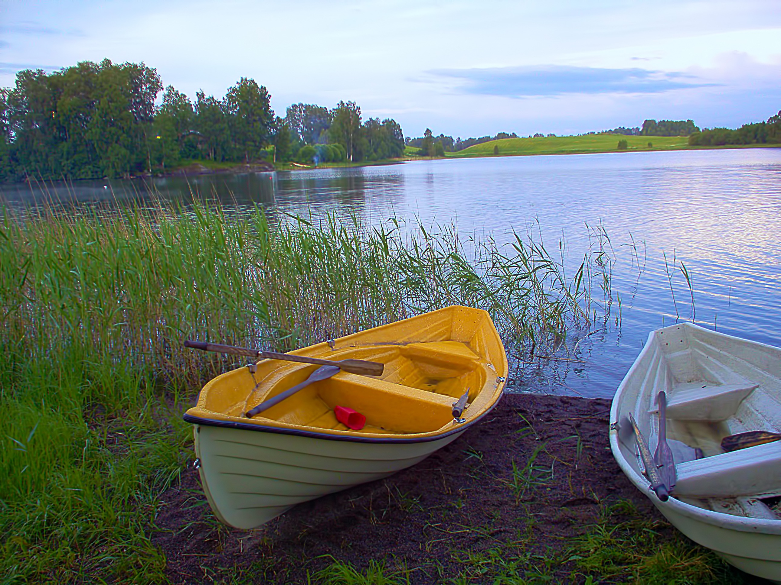 transportation, mode of transportation, canoe, boats, grass, boat, lake, growth, scenics - nature, body, tranquility, near, beside, reed, plant, finnish, HD Wallpaper