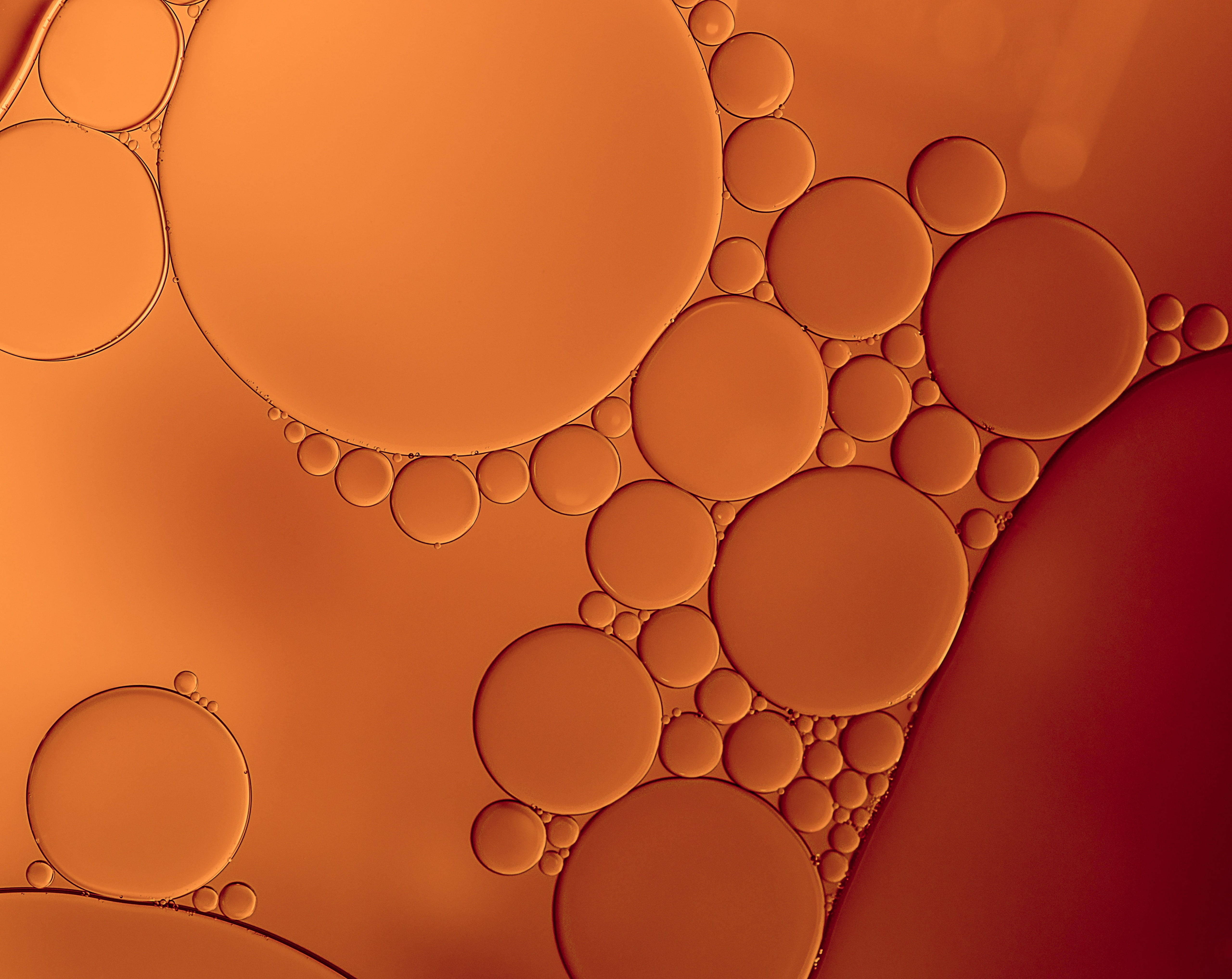 pattern, abundance, abstract backgrounds, Water, textured effect, no people, vibrant color, circle, 5K, circles, close-up, Elements, creativity, shape, HD Wallpaper