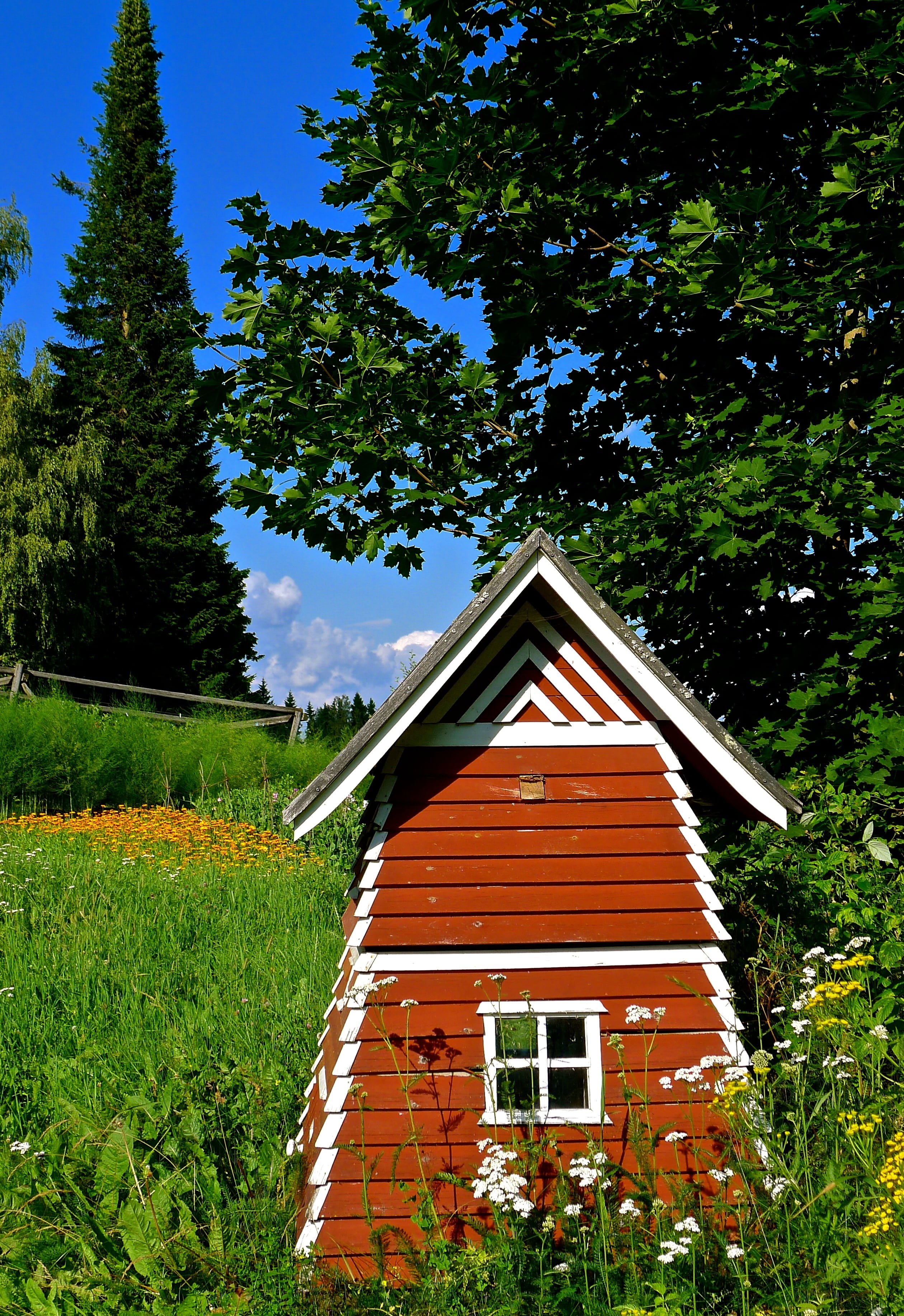 beauty in nature, no people, building, europe, green, finnish, grass, travel, nature, nordic, residential district, tourism, house, plant, forest, finland, Phone HD Wallpaper