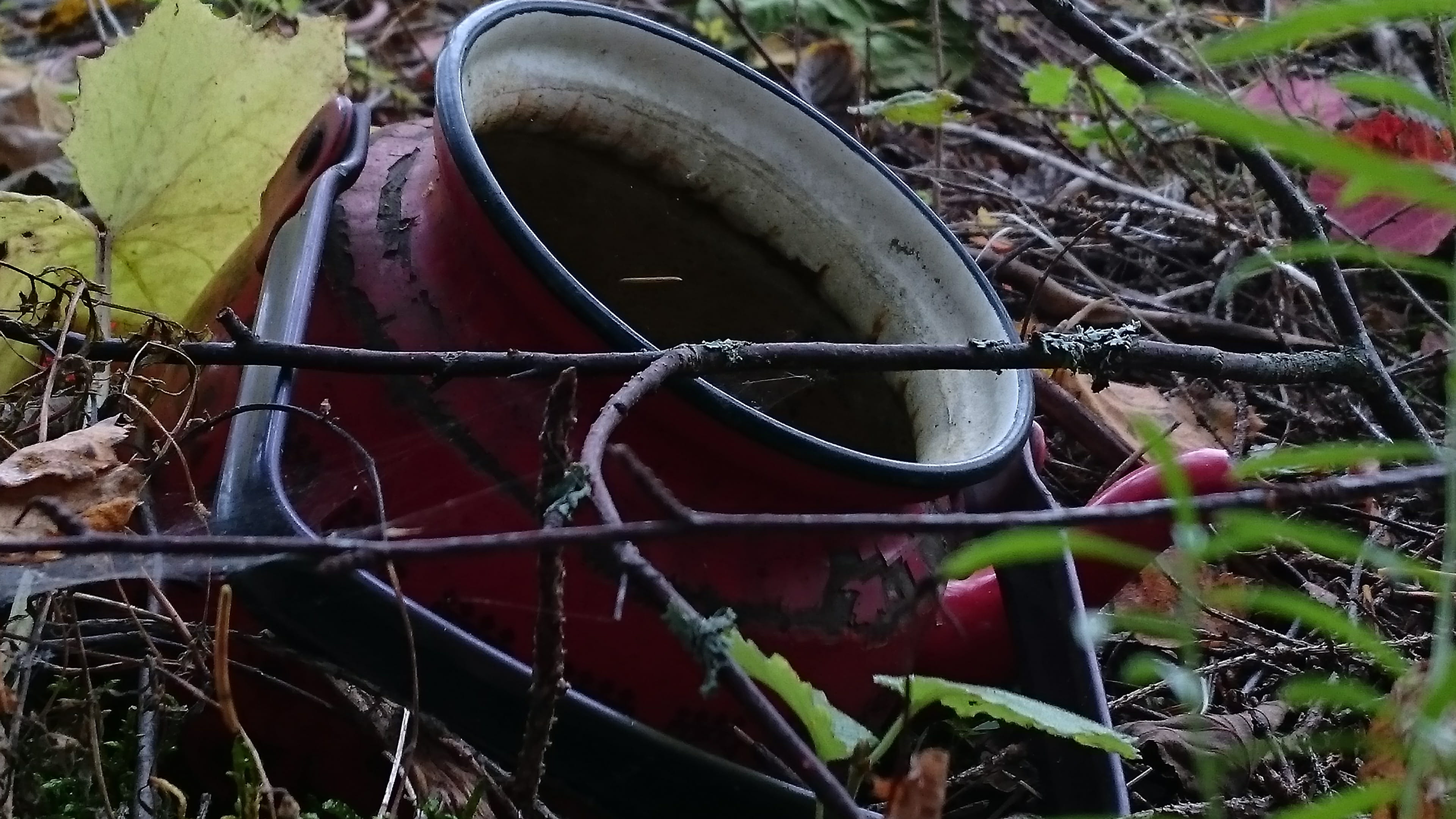 metal, kitchen, land, 4K, day, obsolete, keski-suomi, forest, no people, old, damaged, leaf, wheel, outdoors, rusty, teepot, abandoned, container, run-down, HD Wallpaper