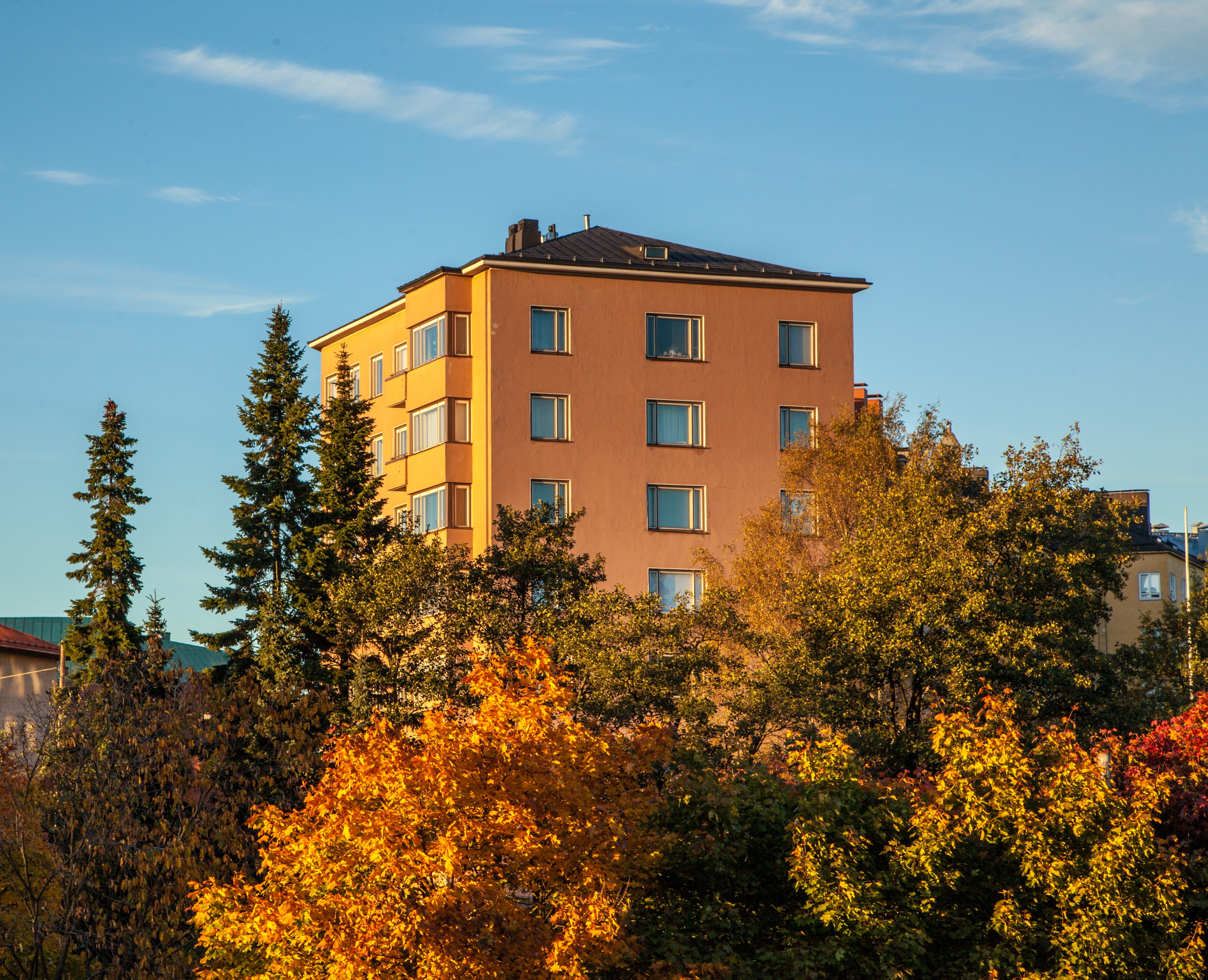 kallio, fall, orange color, change, apartment, suomi, outdoor, no people, beauty in nature, fall foliage, tourism, leaves, growth, autumn colors, outdoors, HD Wallpaper