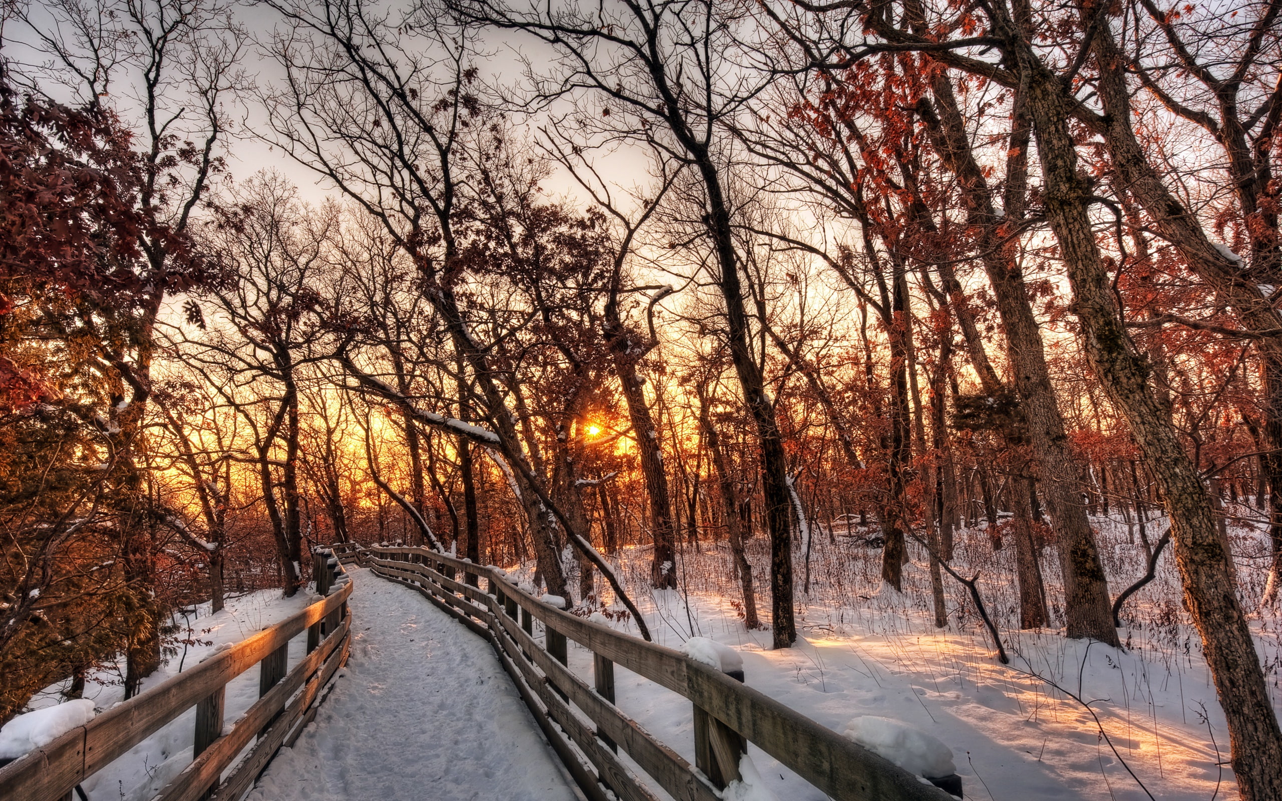 wooden, pathway, Landscape, Path, Snow, Forest, Nature, Sunset, brown, Winter, fence, 2K, Trees, HD Wallpaper