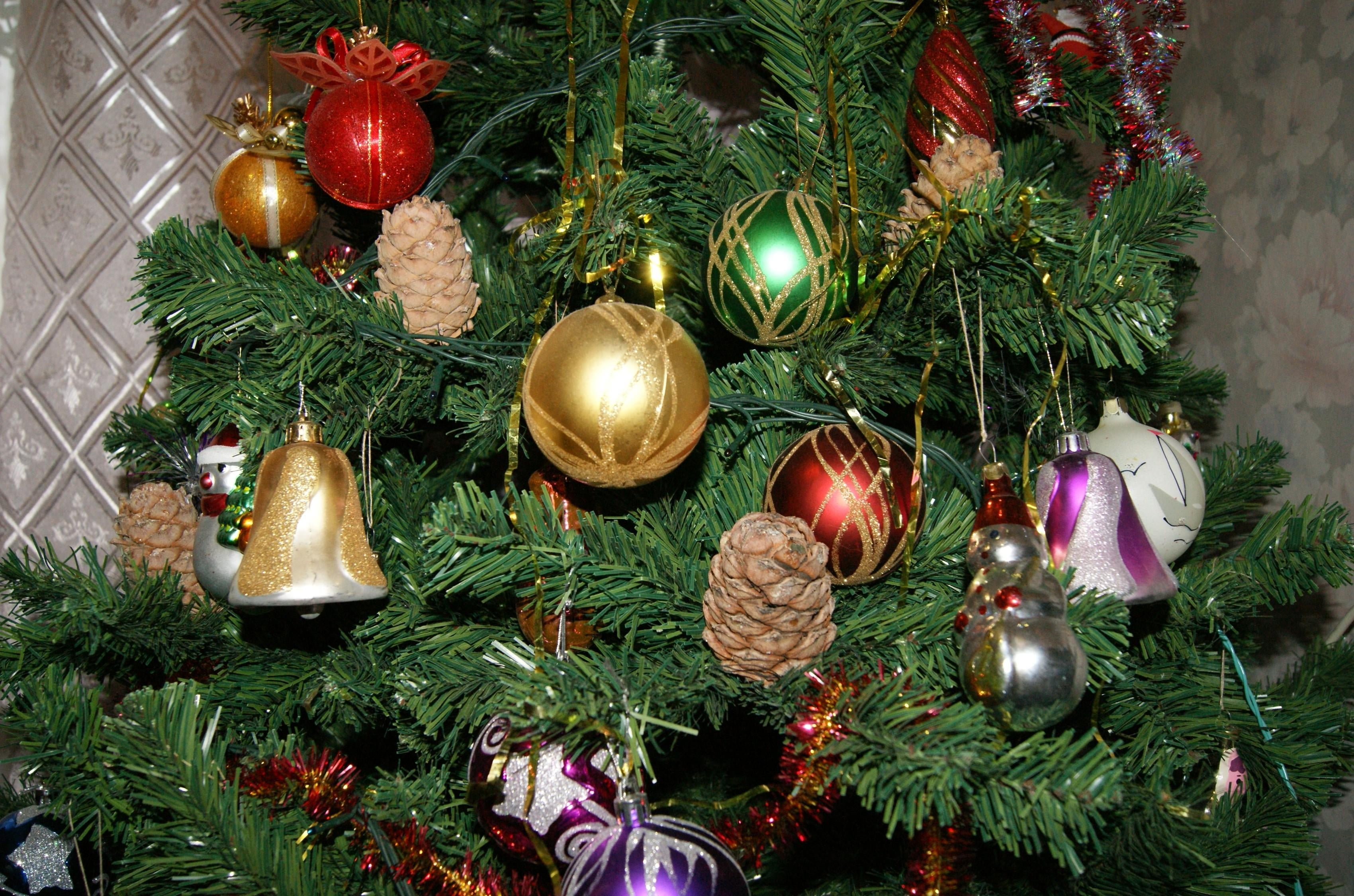 chistmas, ornate, christmas lights, color, season, humor, branch, cultures, assorted, indoors, white, fir Tree, tree, close-up, pine Tree, baubles, celebration, HD Wallpaper