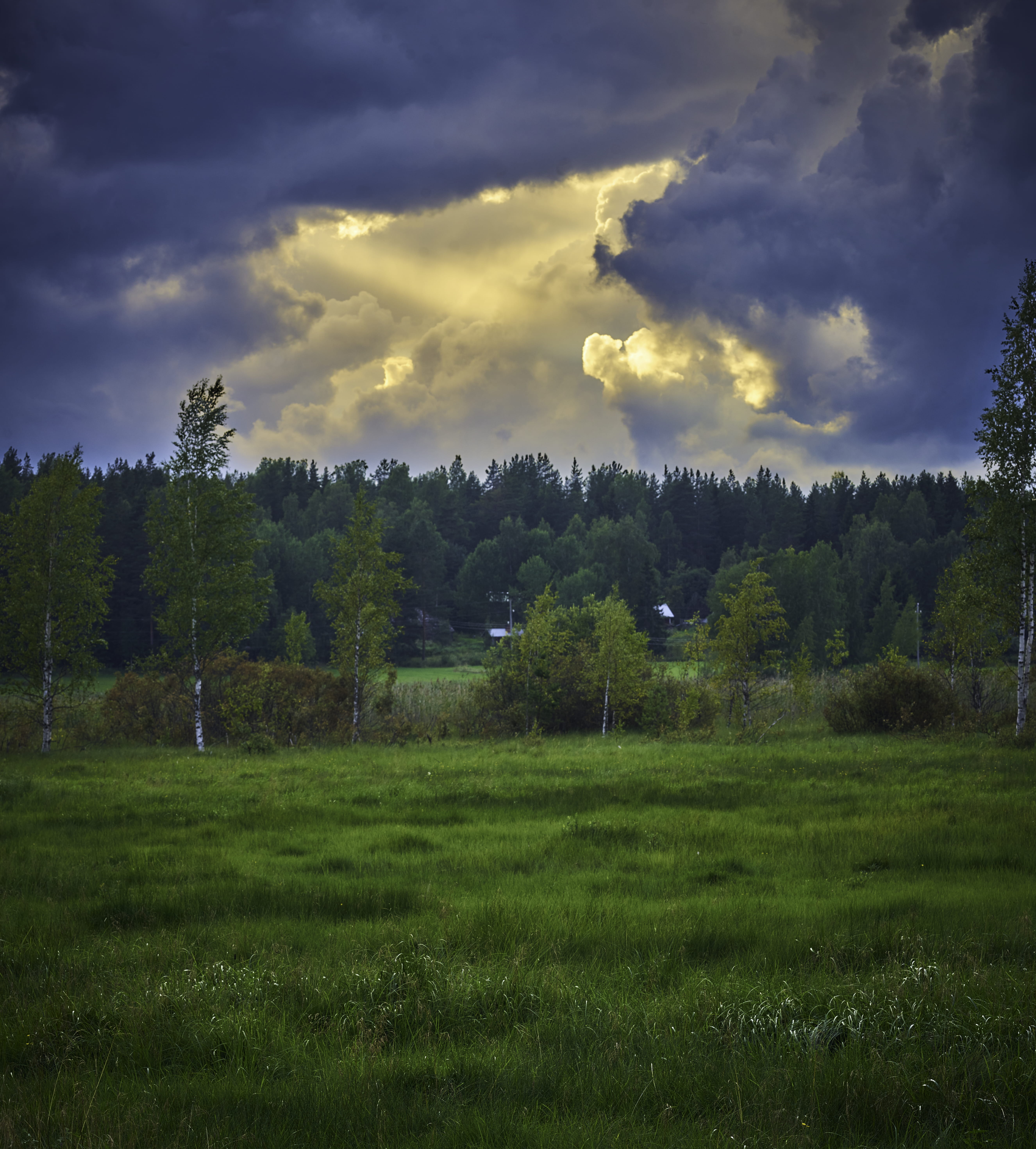 outdoors, land, nature, growth, cloud - sky, forest, aurinko, luonto, green color, grass, 5K, tree, cloudscape, clouds, field, jyväskylä, sky, day, sun, Phone HD Wallpaper
