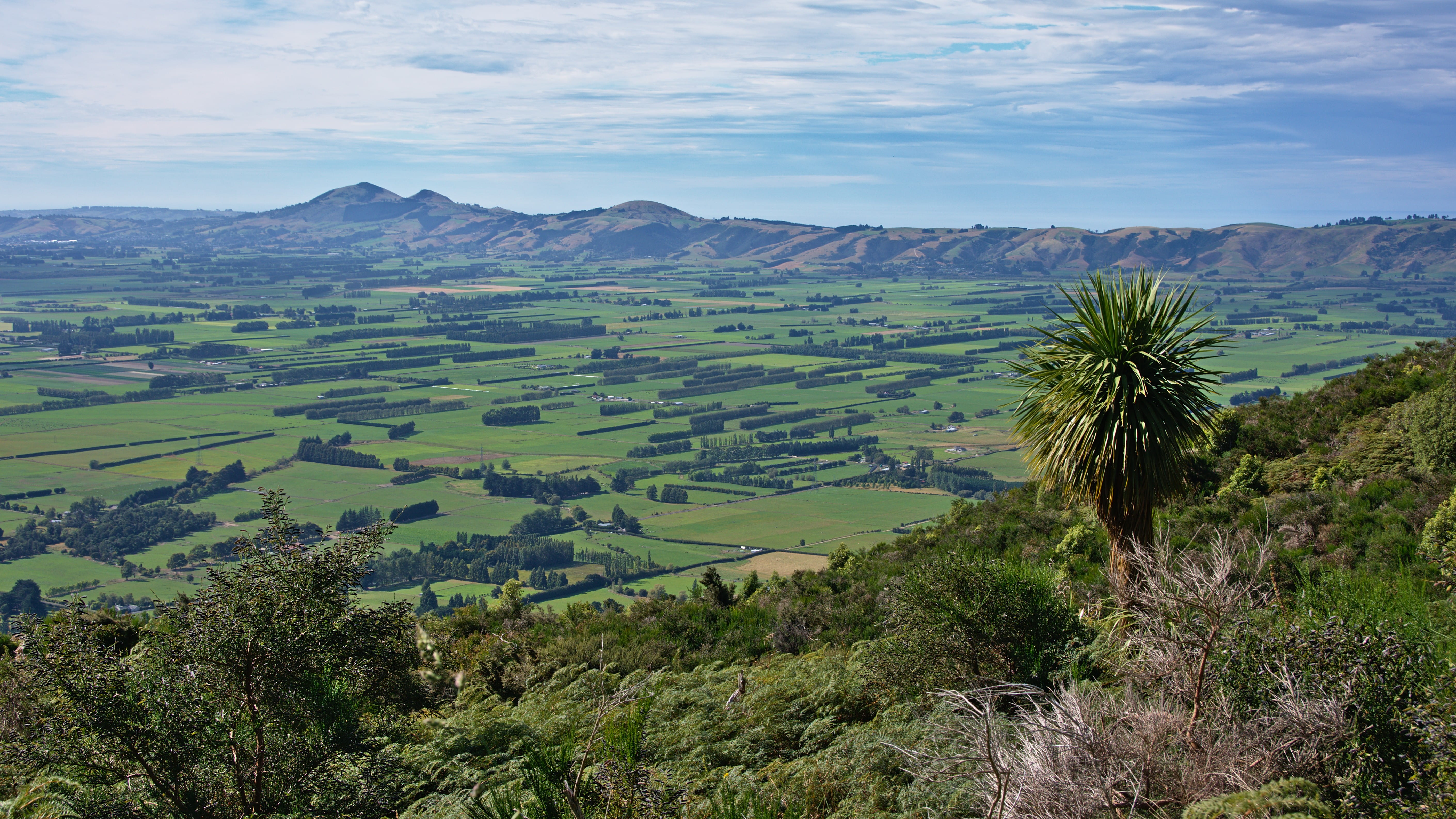 bush, sky, outdoors, cabbage tree, scenics - nature, idyllic, mountain, farmland, allanton, woodside, green color, new zealand, nature, environment, plant, HD Wallpaper