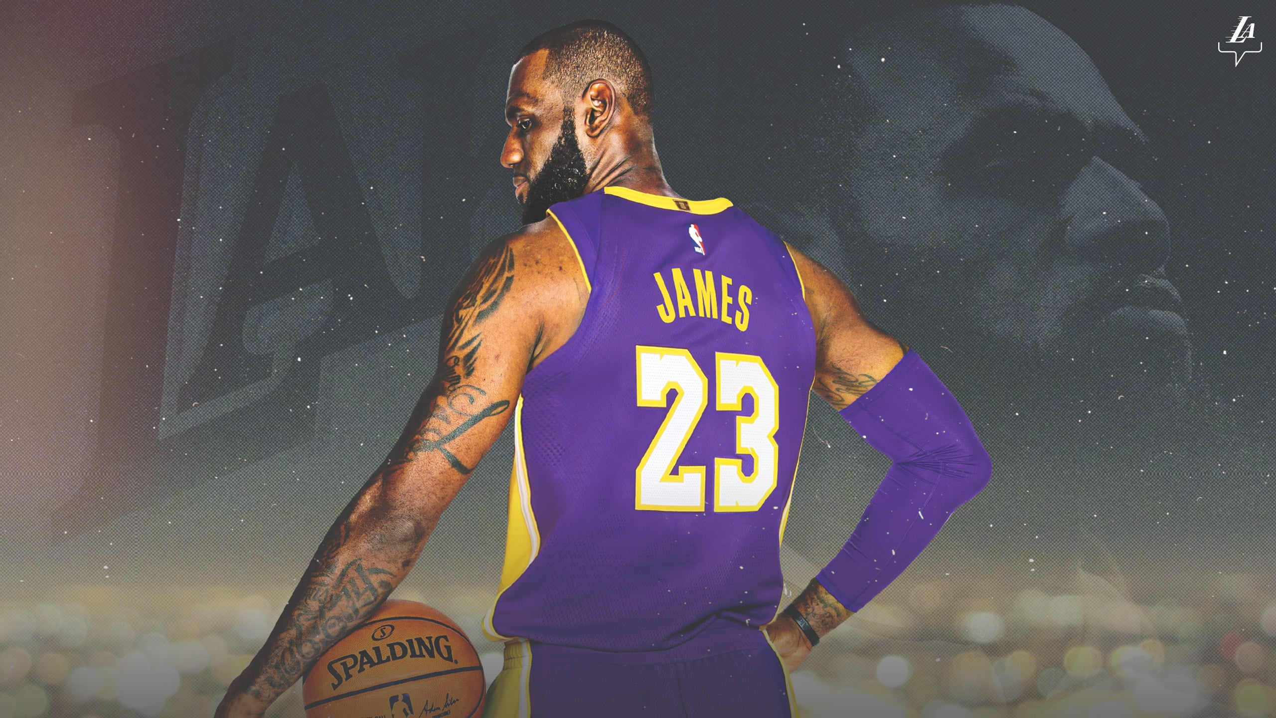 2K, Basketball, Los Angeles Lakers, LeBron James, LeBron, American, Legend, James, LA Lakers, NBA, Sport, King, HD Wallpaper