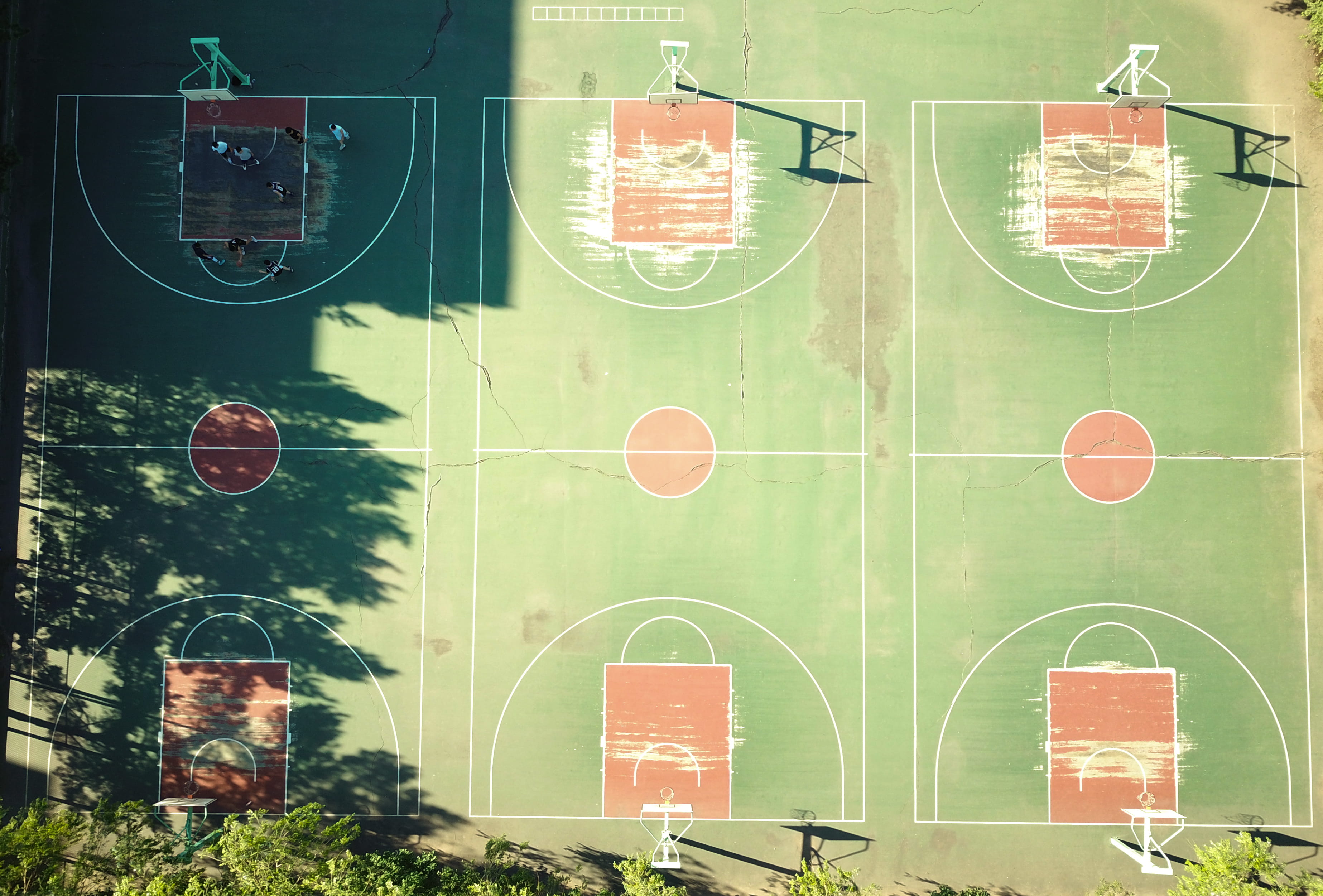 tree, communication, basketball, green, geometric shape, 2K, shape, wall - building feature, sunlight, no people, green color, harbin institute of technology, HD Wallpaper