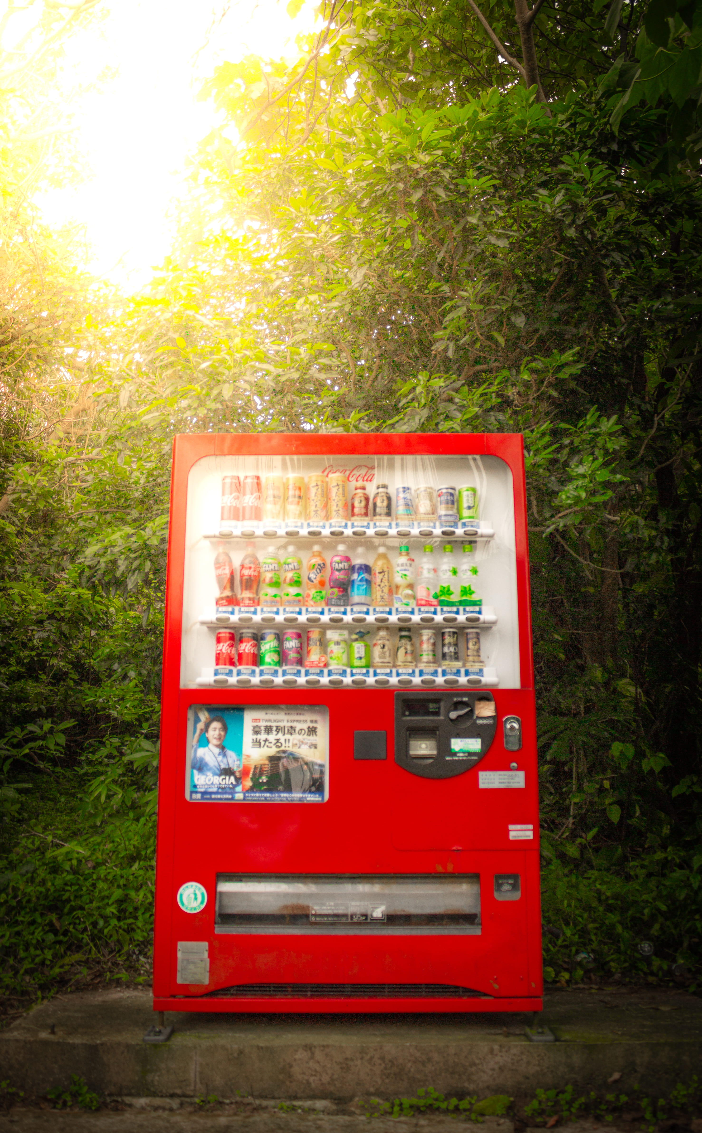 red, japan, convenience, plant, drink, food and drink, rainforest, grass, person, machine, beverage, land, variation, no people, telephone booth, motor, Phone HD Wallpaper