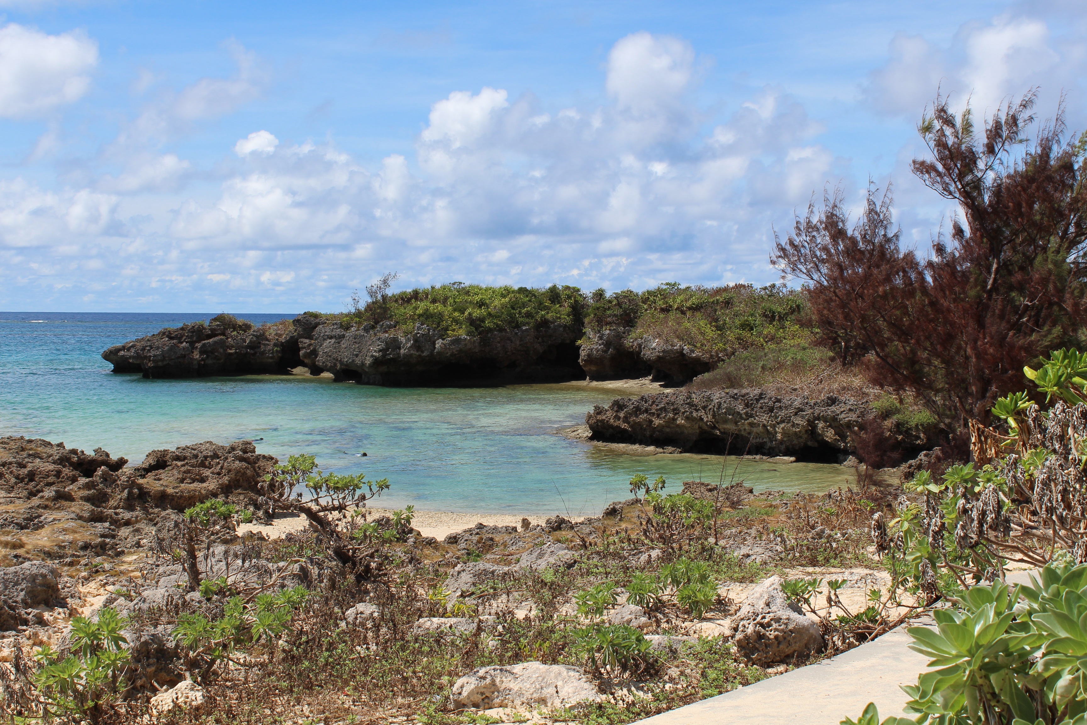 japan, okinawa, tree, solid, nature, tranquil scene, land, outdoors, sky, body, beach, plant, lagoon, daytime, beauty in nature, scenics - nature, day, HD Wallpaper