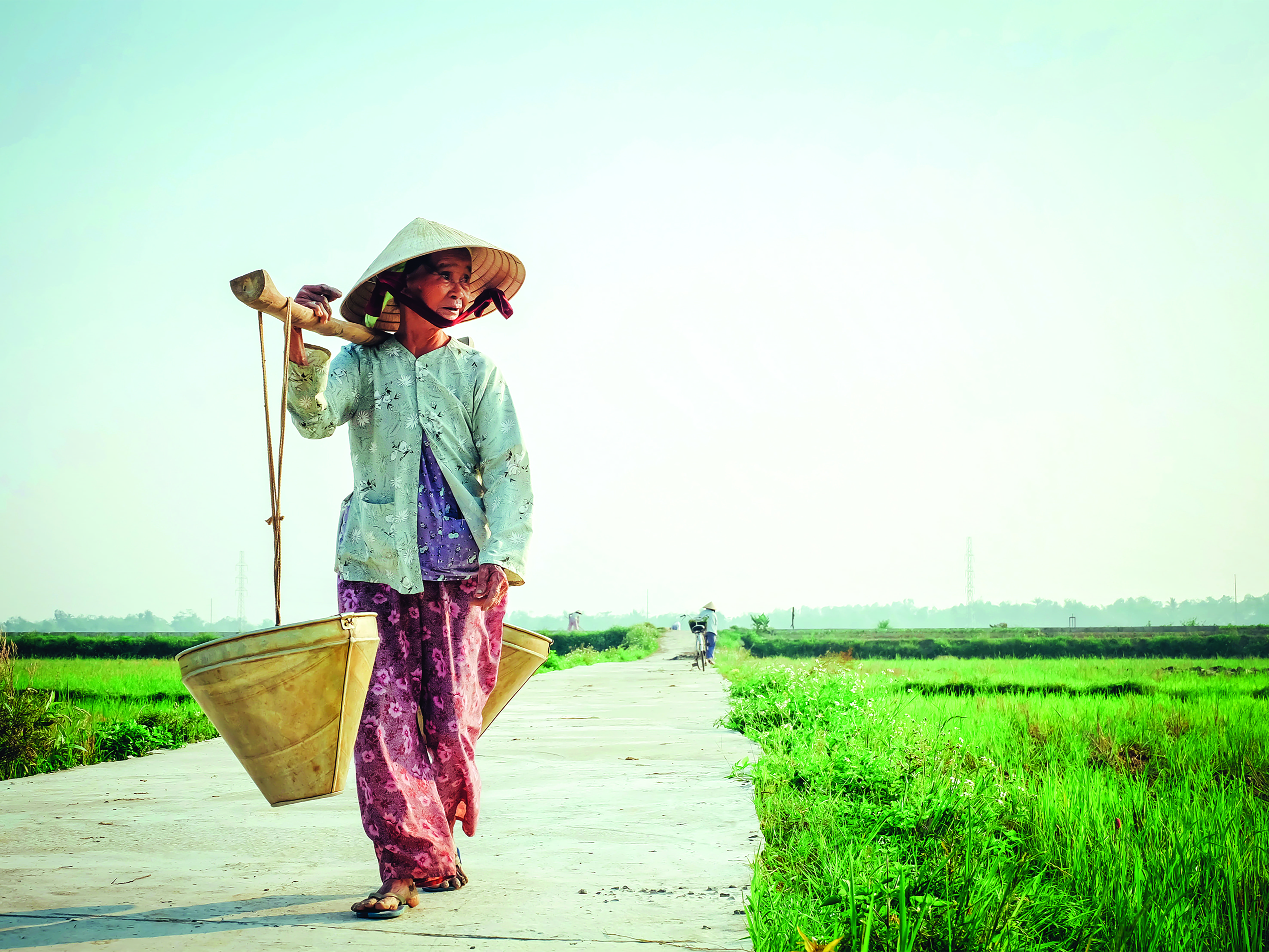 lifestyles, plant, 5K, looking away, day, carrying, eldely, full length, outdoors, sky, vietnamese hat, summer light, basket, grass, clothing, elderly woman, HD Wallpaper