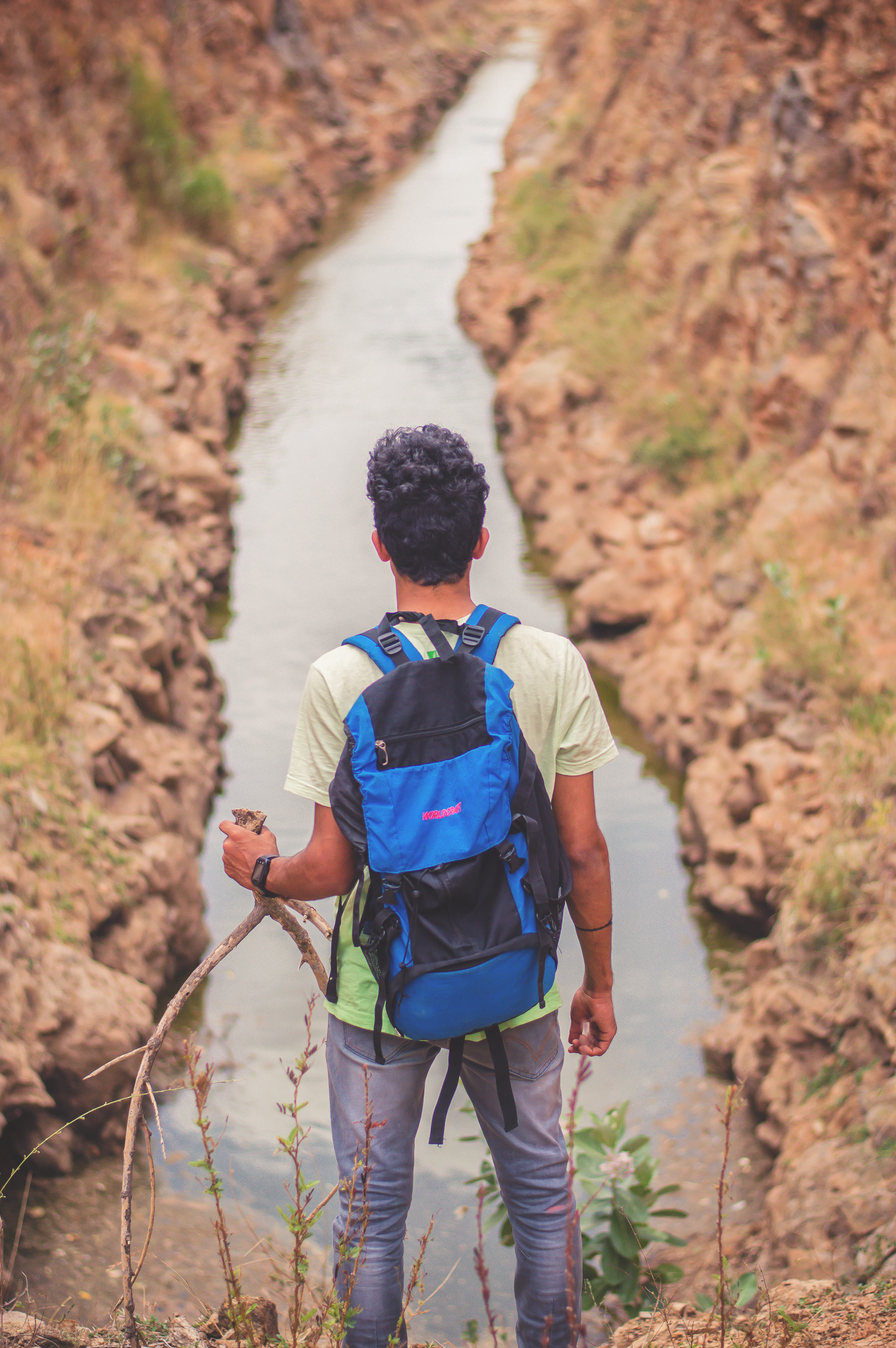 explorer, solo, adventure, leisure activity, backpacker, men, traveler, rear view, plant, day, standing, walking, 5K, trekking, casual clothing, males, Phone HD Wallpaper