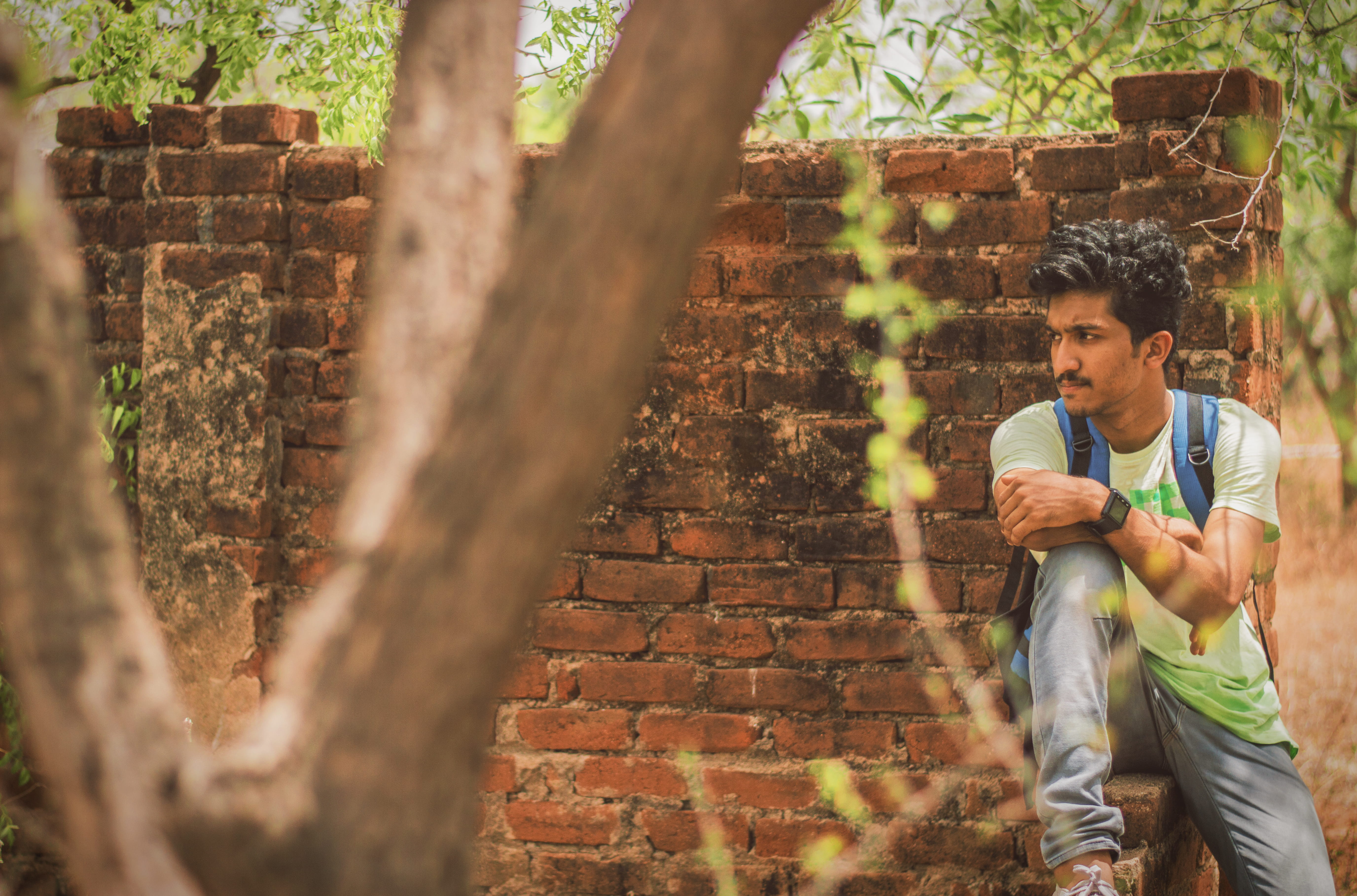 bricks, looking, selective focus, vintage, backpacker, casual clothing, young men, tree, brick, lifestyles, young adult, three quarter length, boy, growth, HD Wallpaper