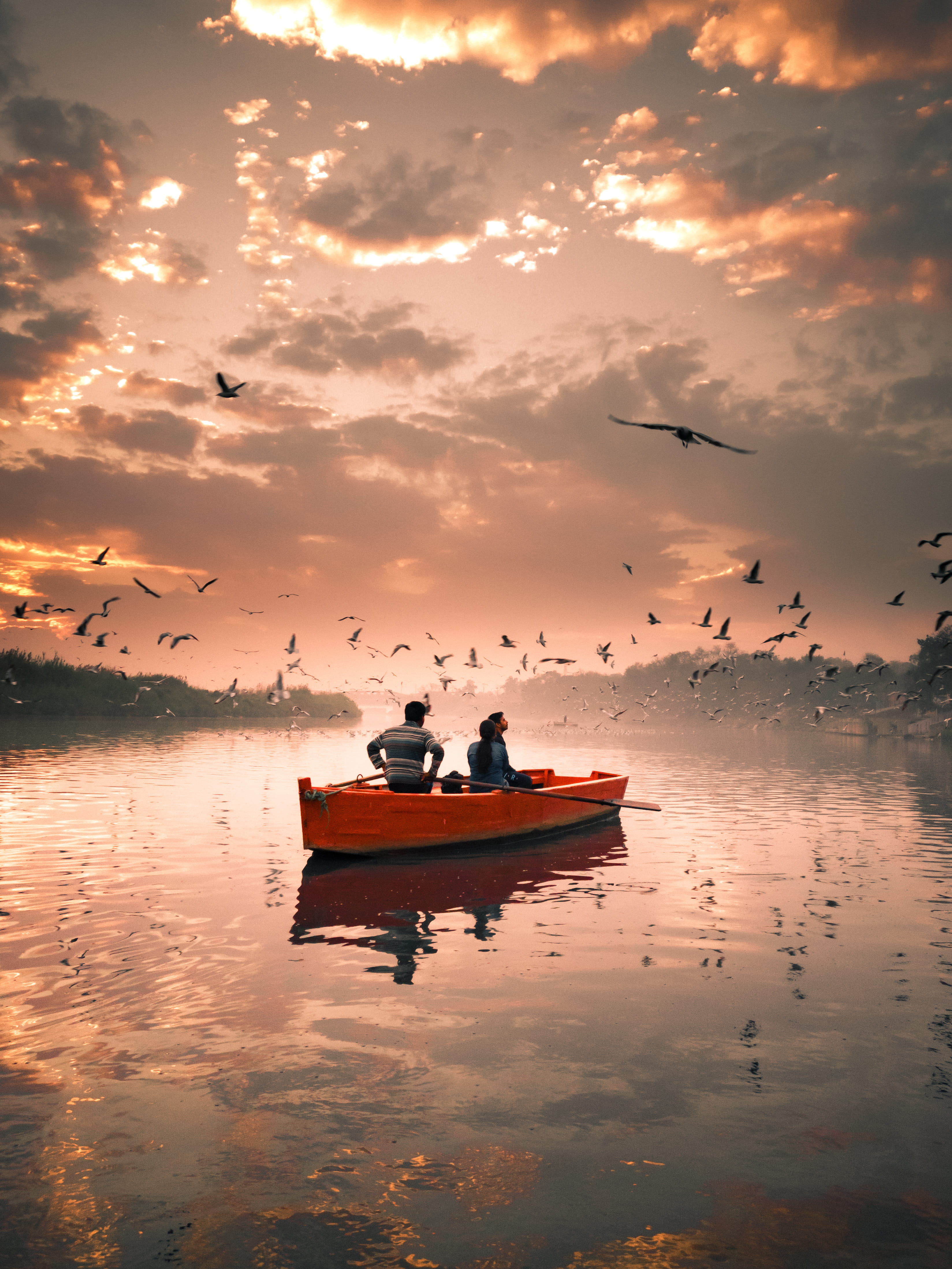 riding, outdoors, scenics - nature, people, waterfront, water, 4K, nautical vessel, body, orange color, animals in the wild, sky, group of animals, sunset, Phone HD Wallpaper