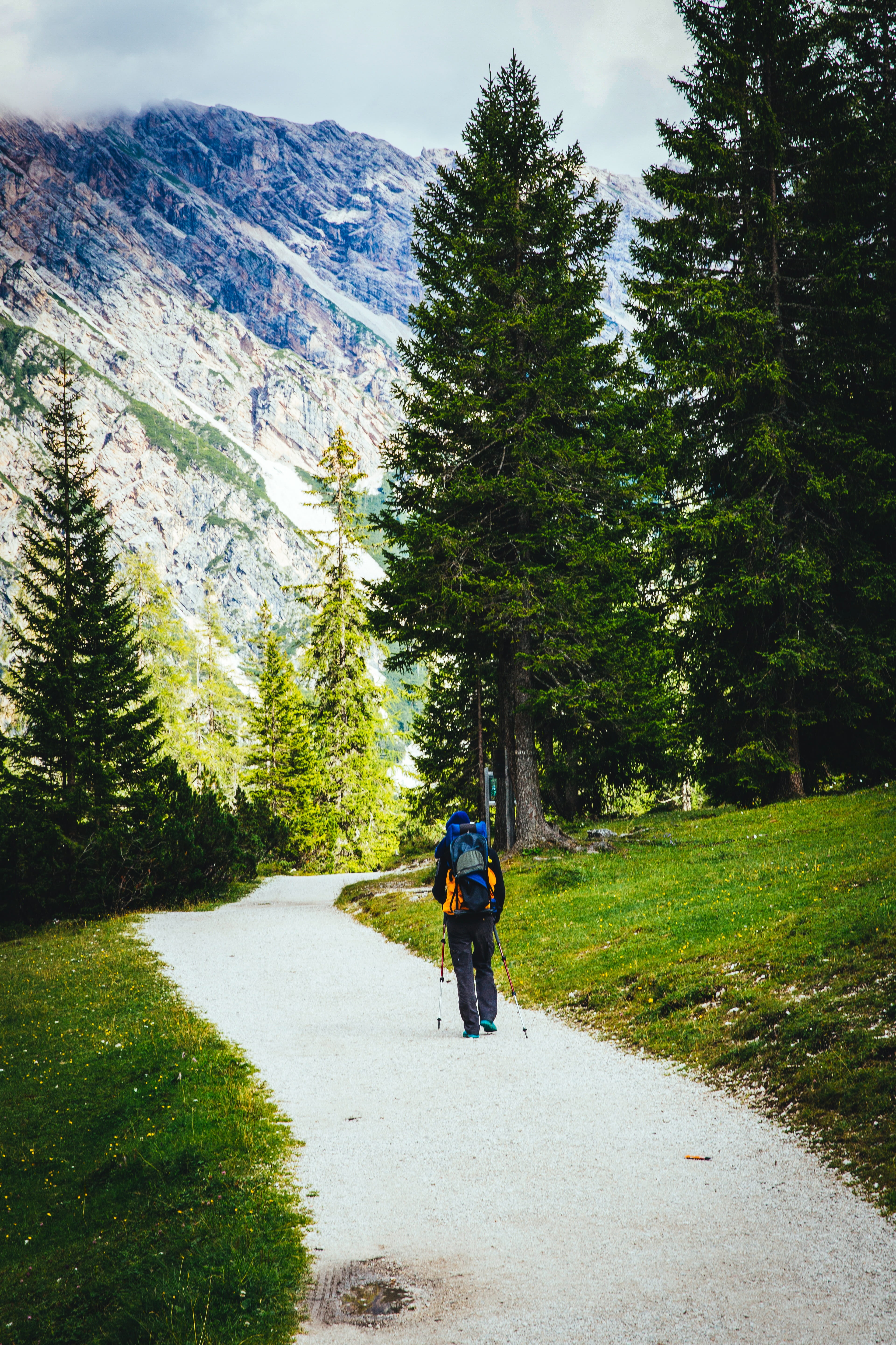 lifestyles, day, mountaineer, plant, men, mountain, adventure, alone, road, trek, real people, beauty in nature, green color, hike, the way forward, outdoors, Phone HD Wallpaper
