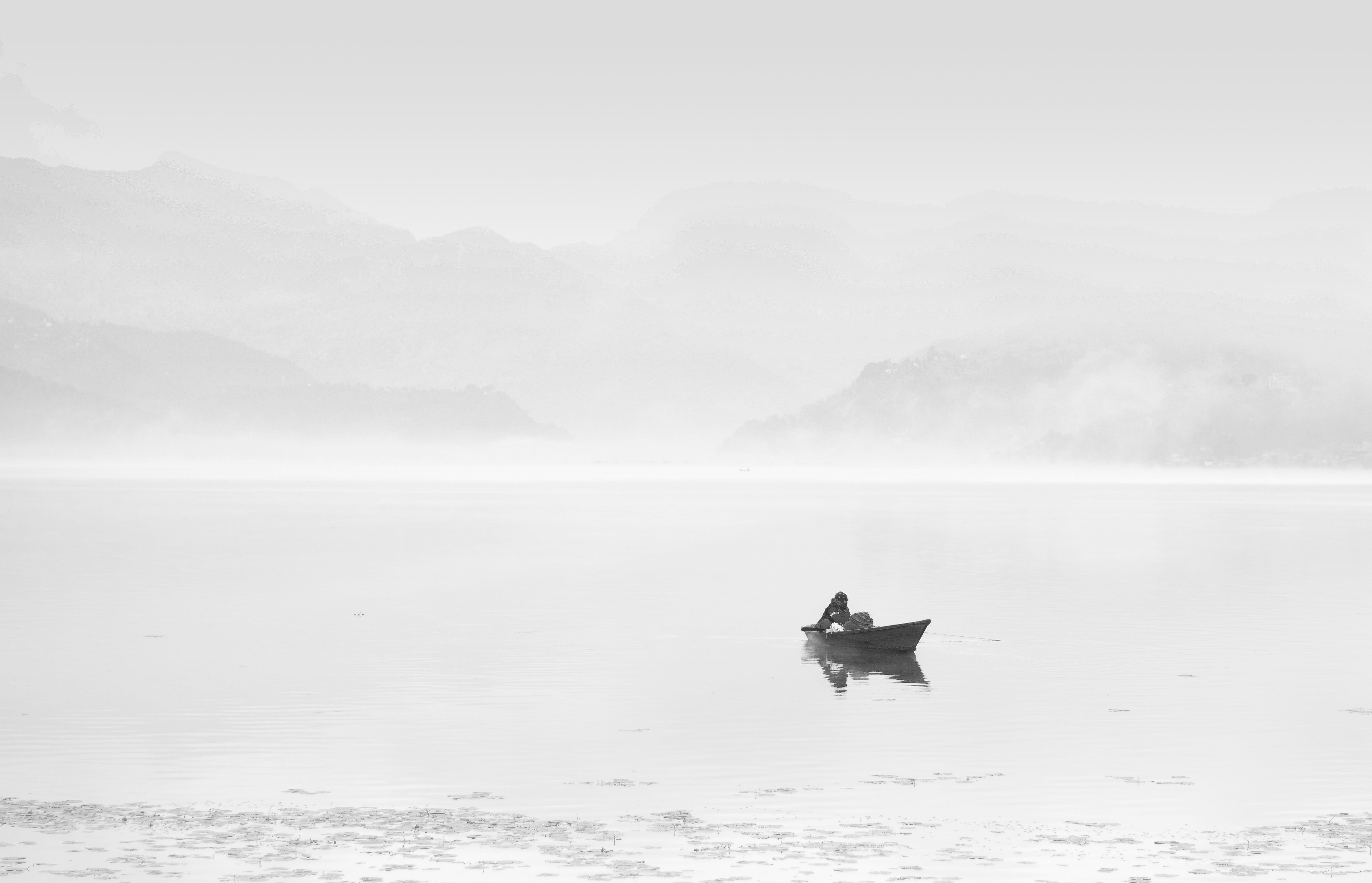 outdoors, misty, mist, animal themes, lakeside, solo, waterfront, moutains, scenics - nature, sky, boating, tranquil scene, vertebrate, blackandwhite, river, HD Wallpaper