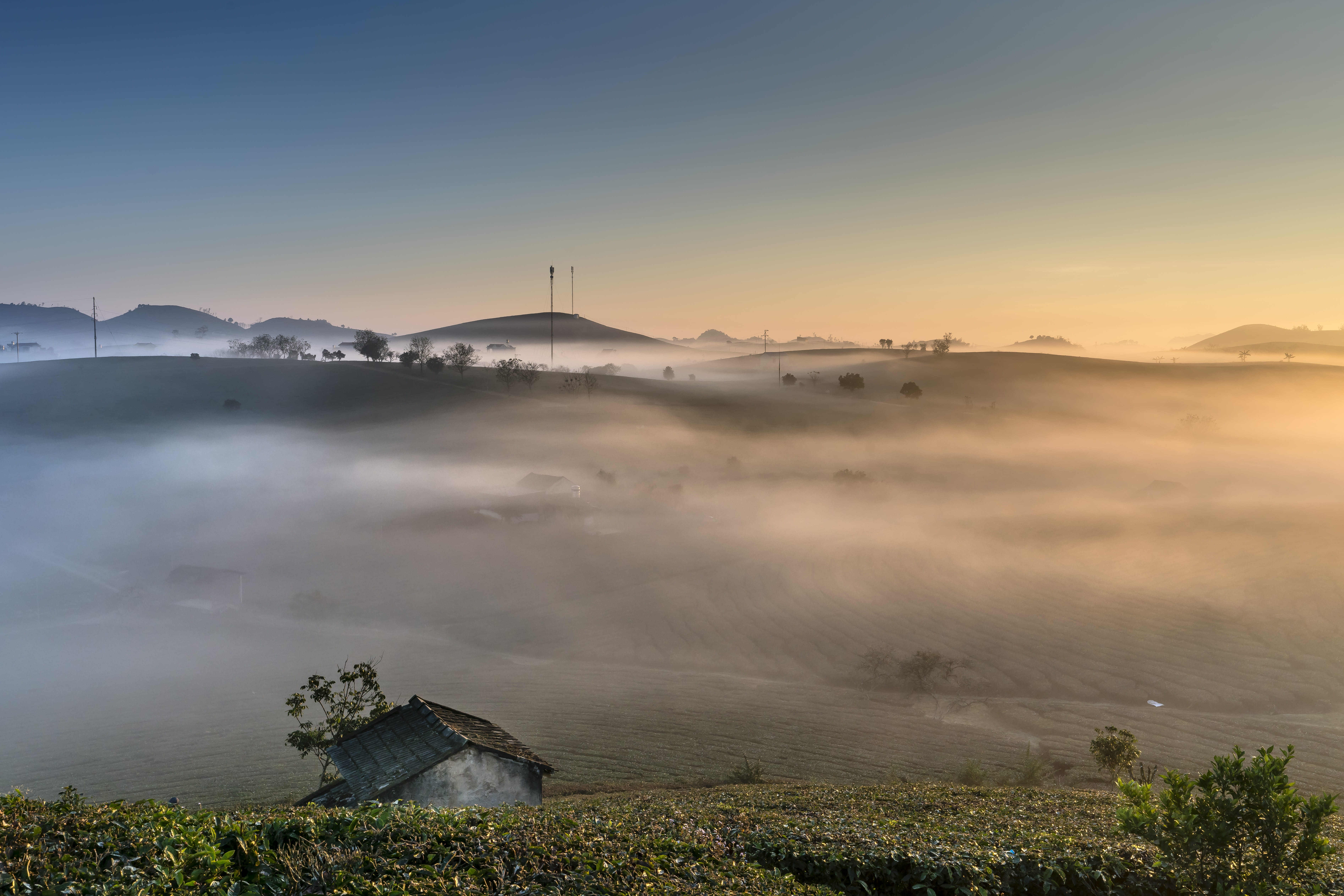 morning, the landscape, plantation, tea, scenics - nature, building exterior, winter, fanciful, travel, outdoors, the hill, fog, gold, green, built structure, HD Wallpaper