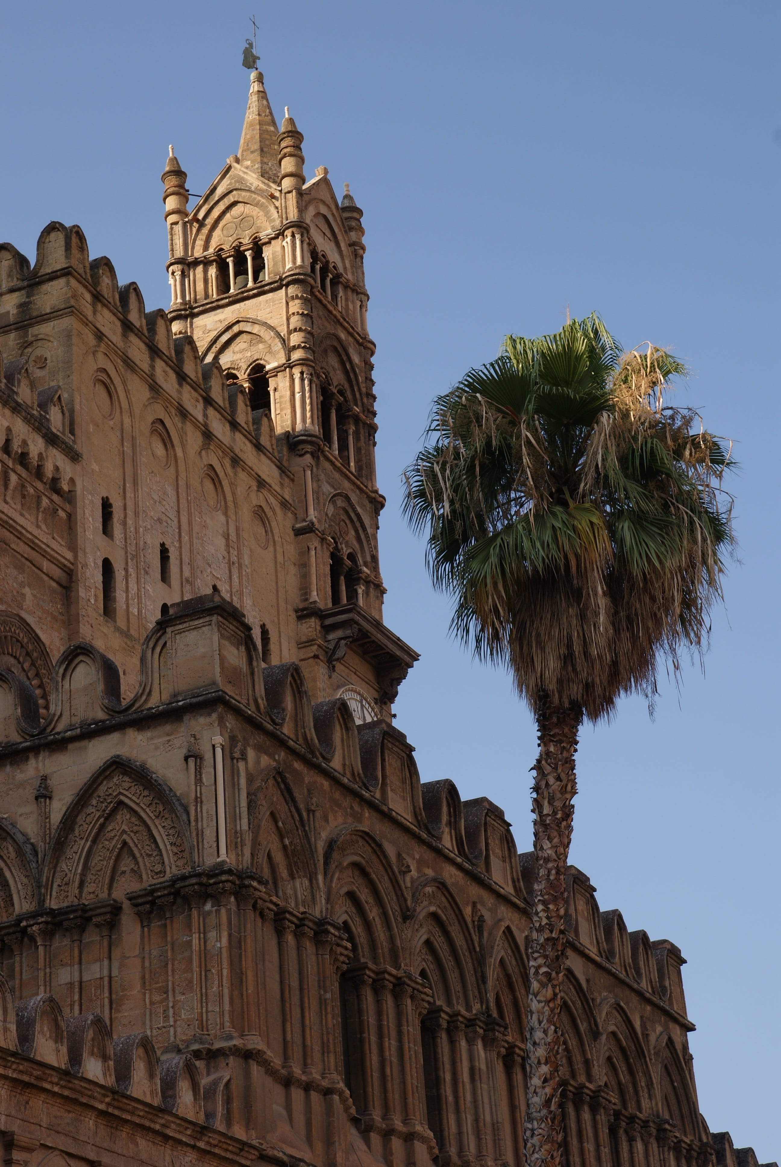 palm tree, historical, place of worship, no people, building exterior, ornate, architecture, the cathedral, nature, tropical climate, travel destinations, Phone HD Wallpaper
