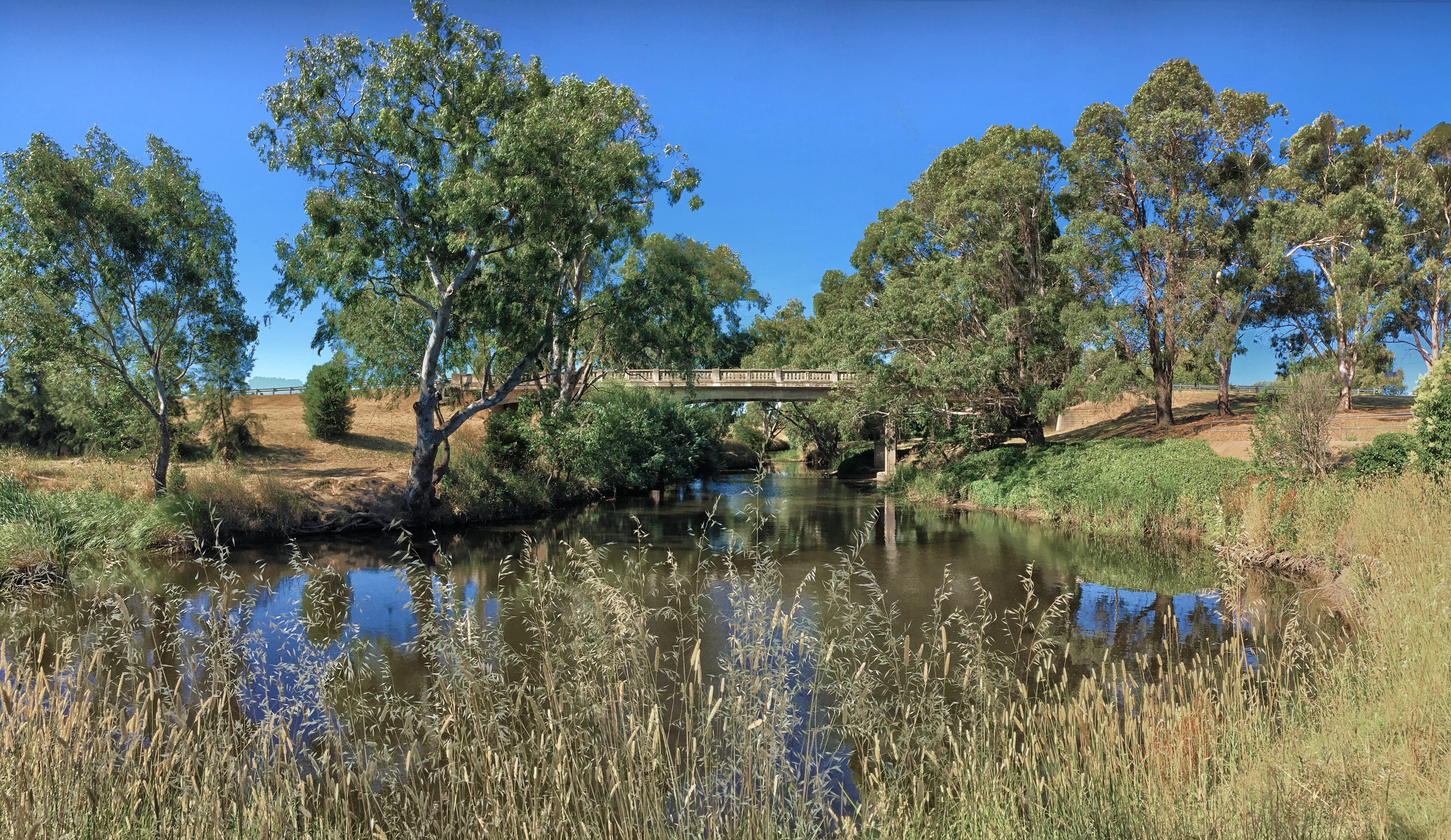 travel, no people, reids flat, lake, plant, day, animal, tranquility, blue, country, hd background, reflection, gum tree, landscape, beauty in nature, HD Wallpaper