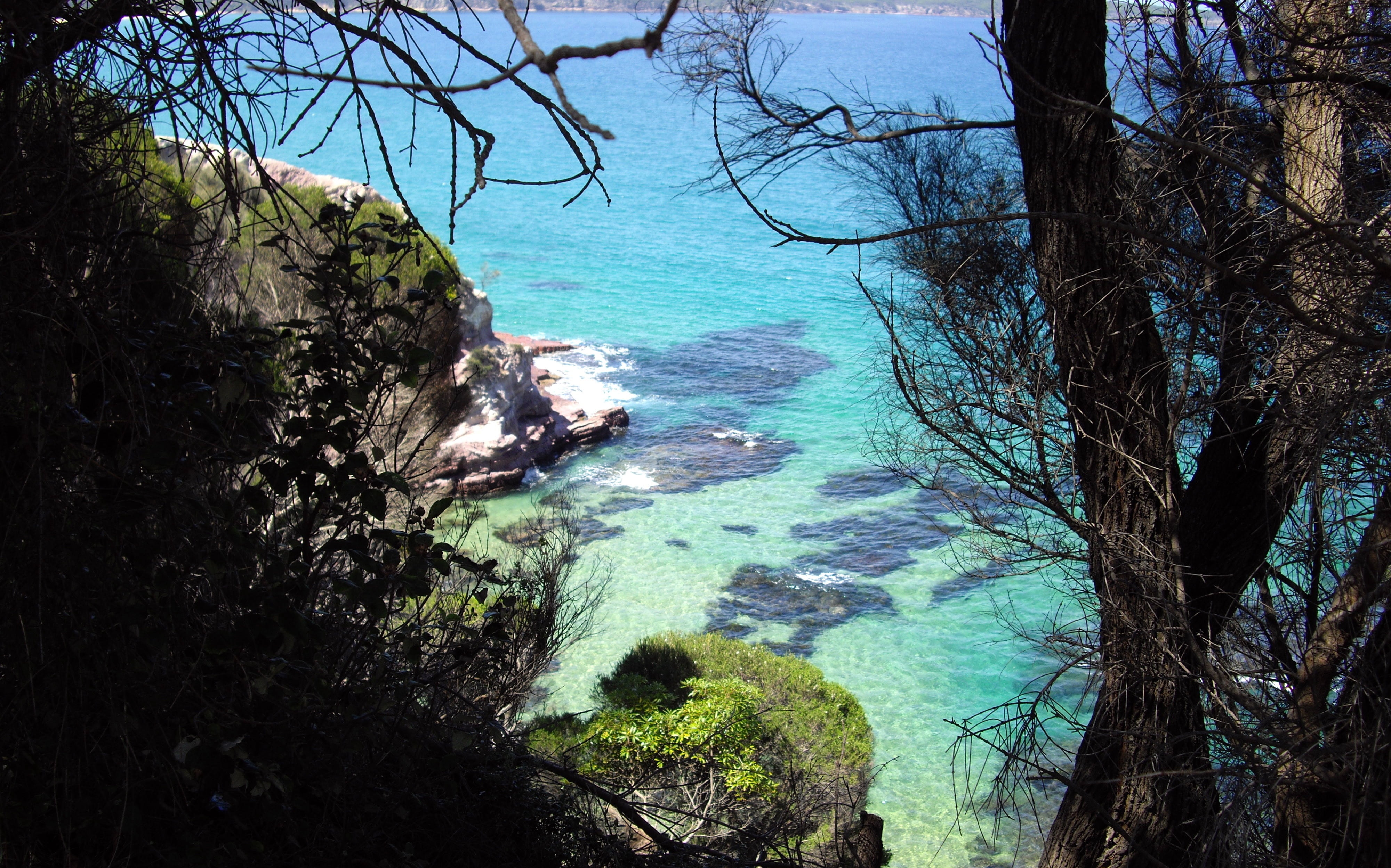 outdoors, 4K, scenery, beach, view of bay from imlay park, sea, tranquil scene, blue, plant, turquoise colored, no people, scenics - nature, eden nsw australia, HD Wallpaper