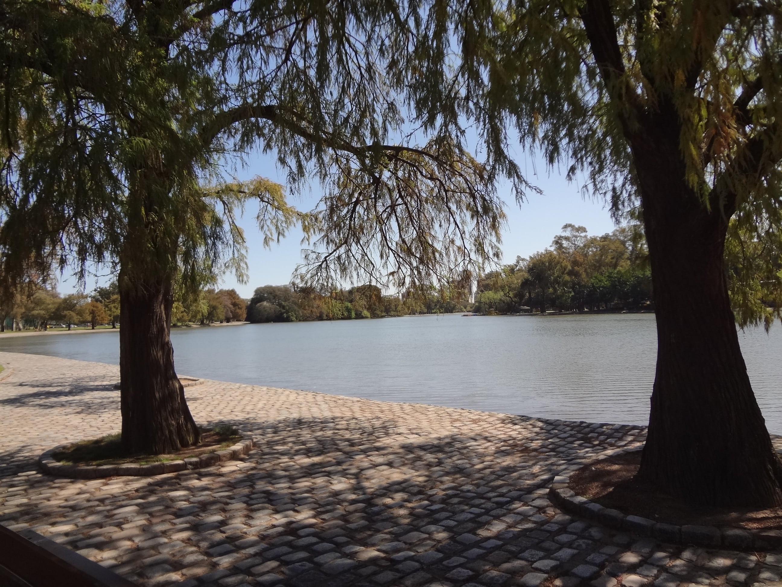 tranquil scene, beauty in nature, outdoors, growth, sunlight, tree trunk, trunk, tree, scenics - nature, sky, no people, buenos aires, water, branch, shadow, HD Wallpaper