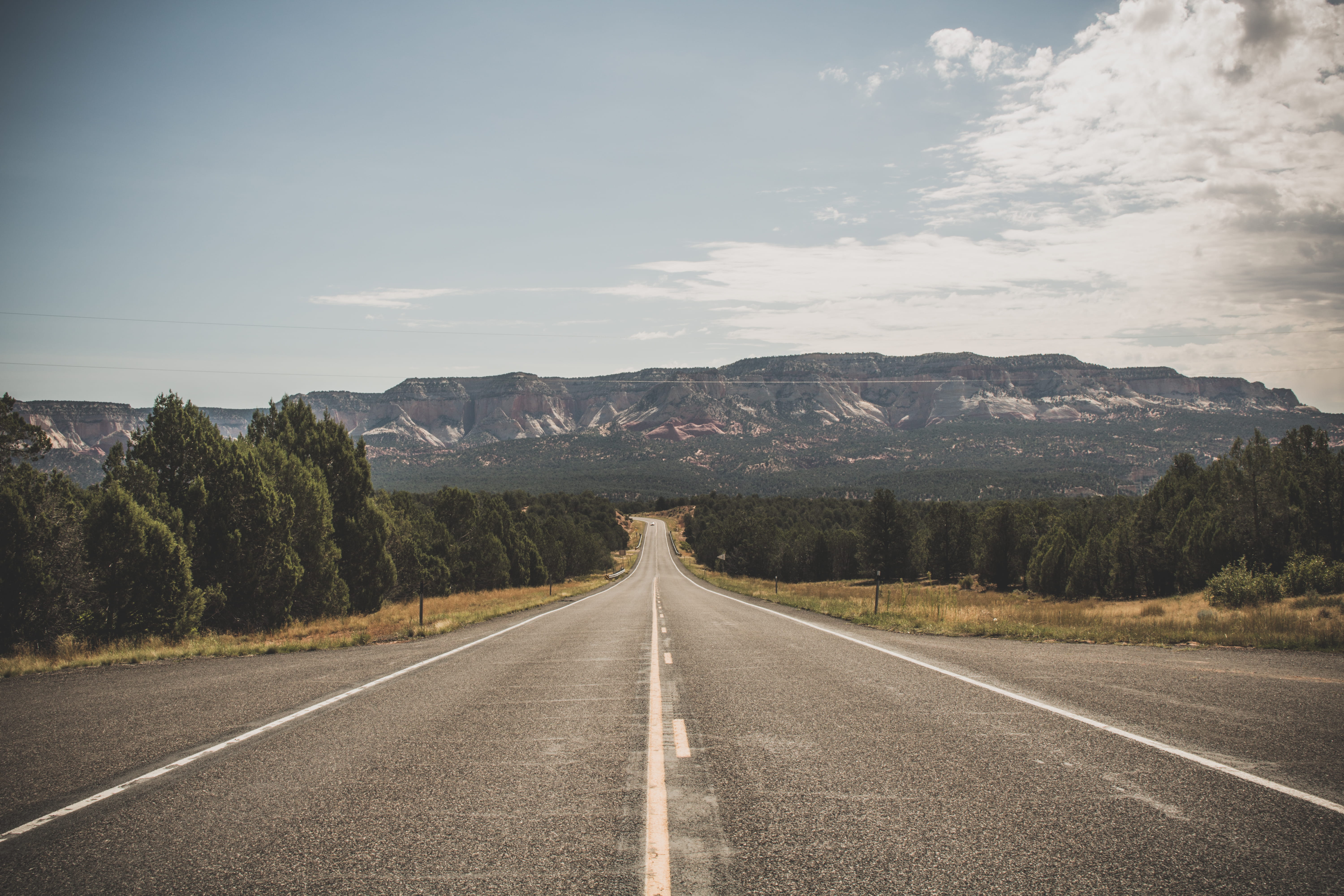 long, dividing line, horizon, 5K, zion, tree, nature, road, united states, symbol, no people, road marking, beauty in nature, mountain range, direction, HD Wallpaper