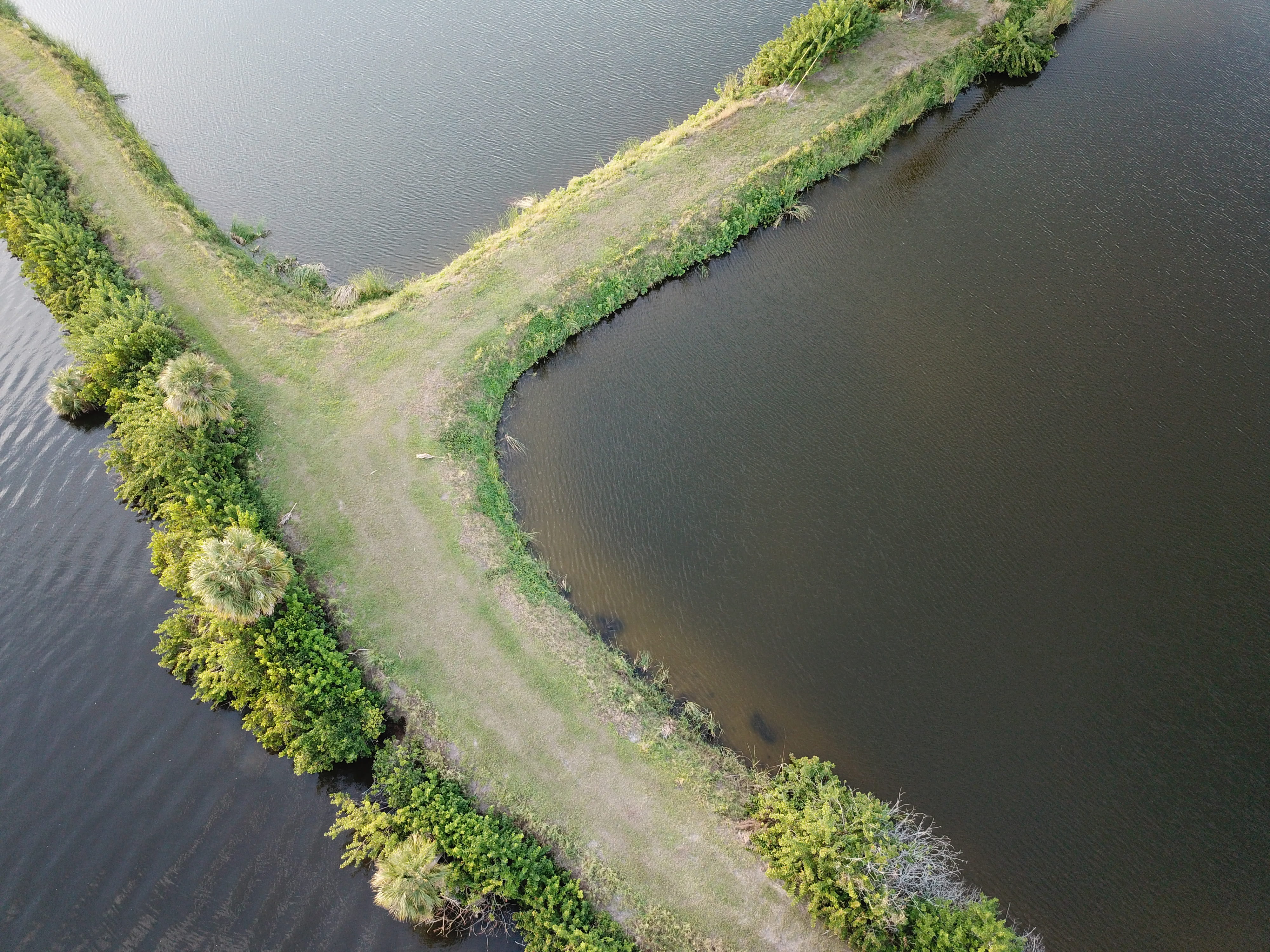 peninsula, outdoors, scenery, scenics - nature, plant, tree, aerial view, day, path, 4K, sea, environment, tranquil scene, no people, aerial, shoreline, HD Wallpaper