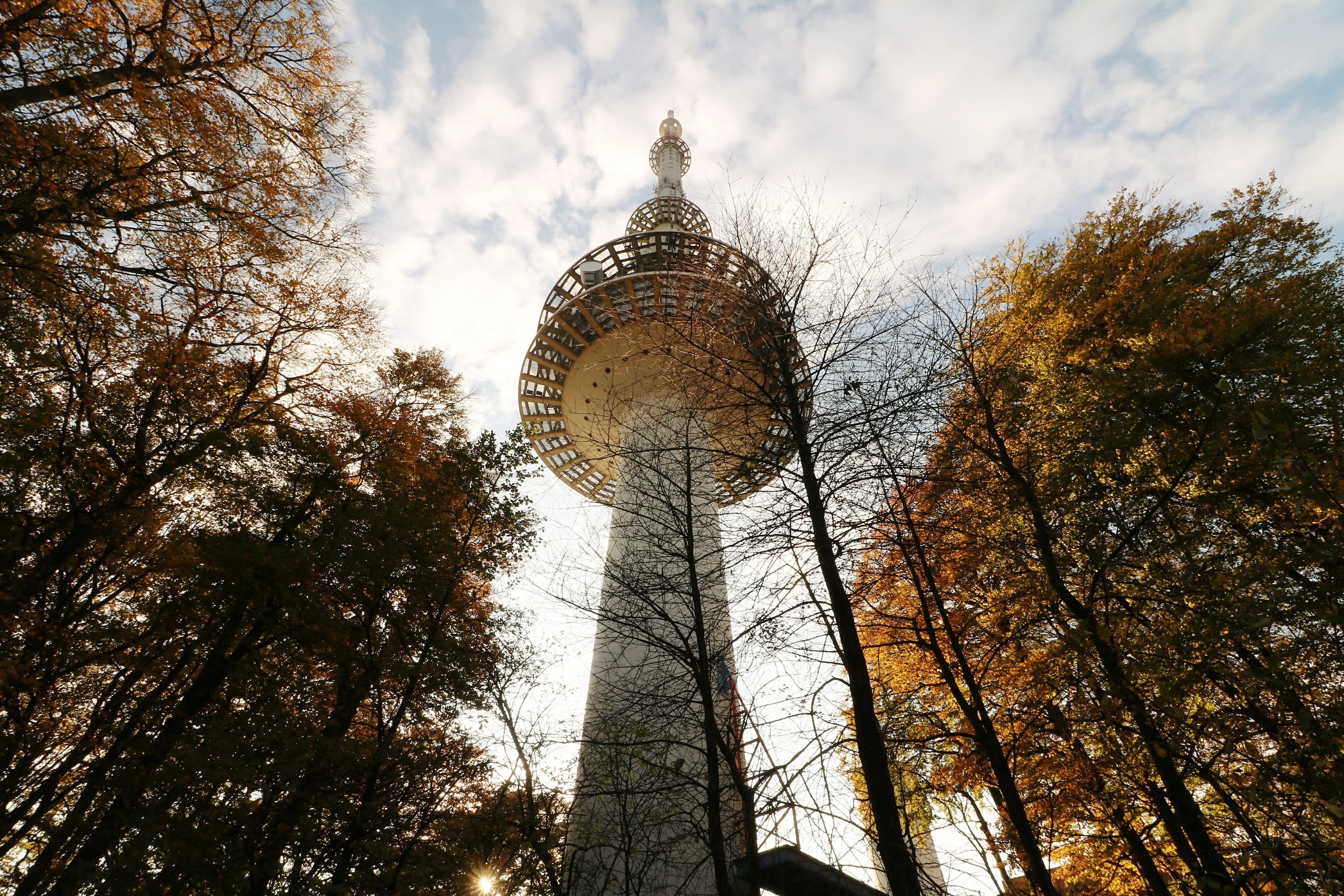 tree, nature, autumn, tall - high, communication, warm, telecommunications, transmission tower, plant, growth, no people, building exterior, park, radio tower, HD Wallpaper