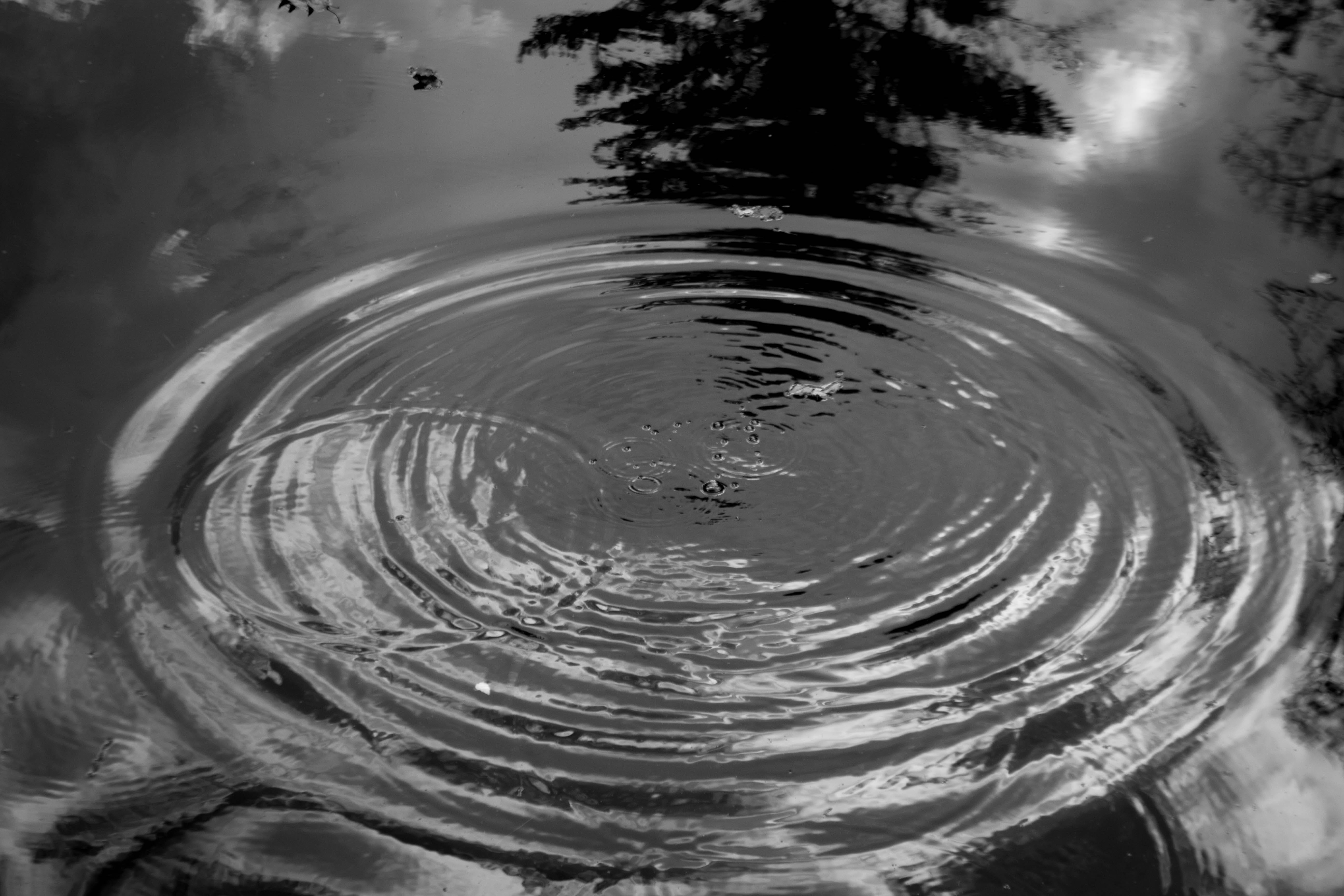 circle, concentric, 5K, close-up, flat rock, purity, backgrounds, impact, pattern, pond, outdoors, drop, water, carl sandburg home, freshness, no people, HD Wallpaper