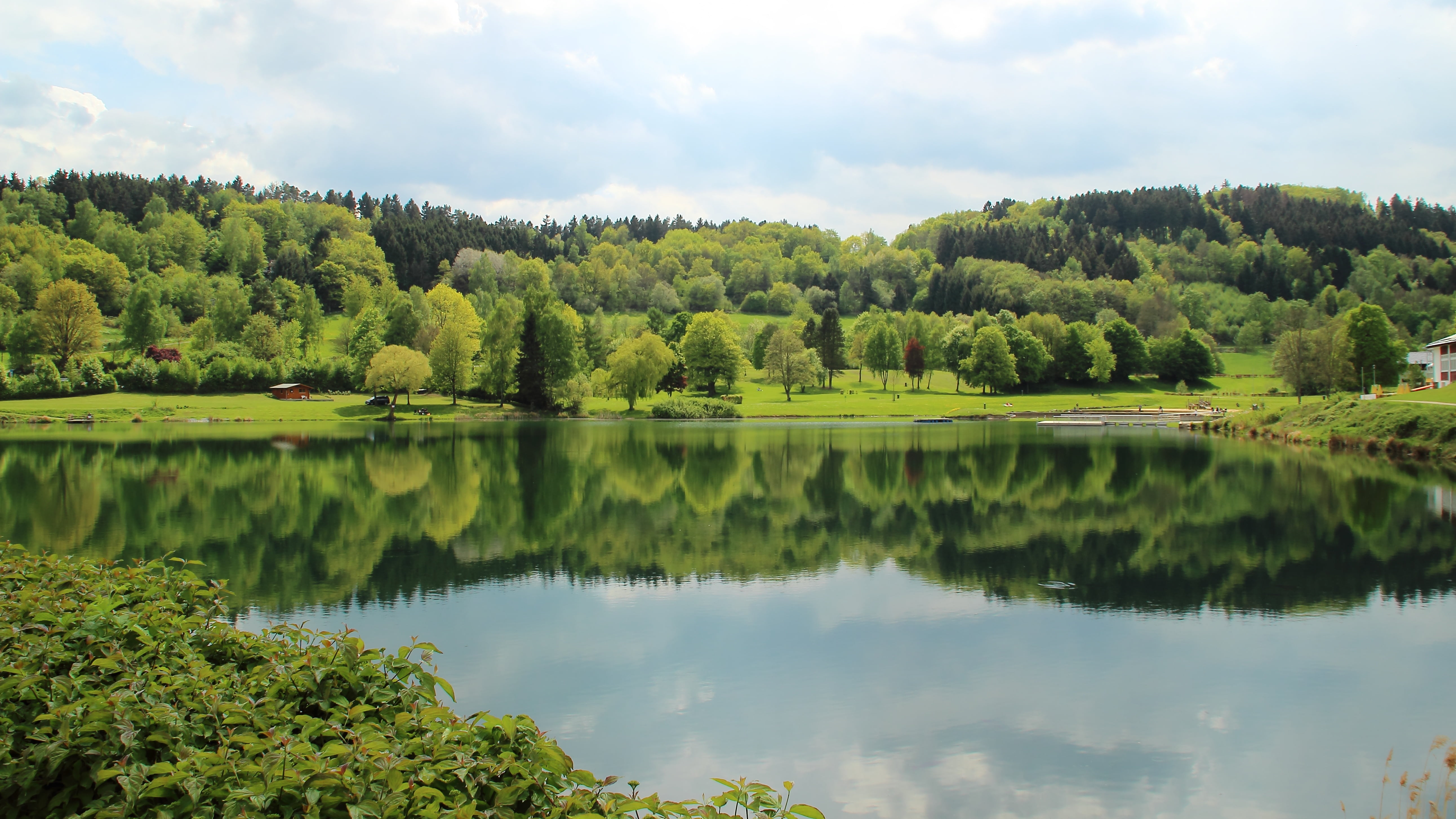 pine woodland, landscape, leisure, germany, grass, summer, mirroring, pine tree, lake, plant, land, 5K, beauty in nature, sky, woodland, holiday, relaxation, HD Wallpaper