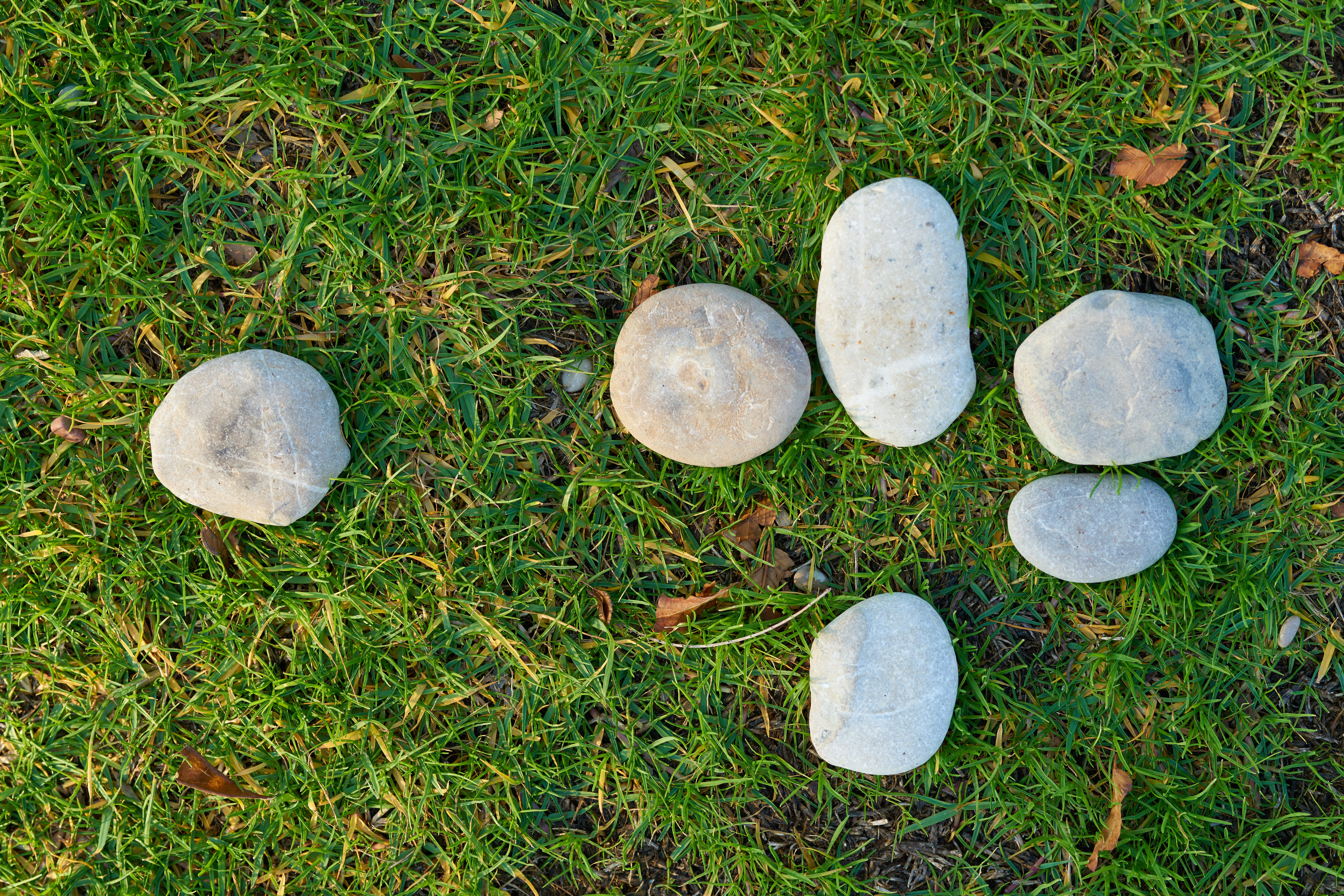 pebbles, growth, green color, pattern, stones, garden, season, rock, stone - object, park, texture, lawn, day, mushroom, outdoors, no people, high angle view, HD Wallpaper
