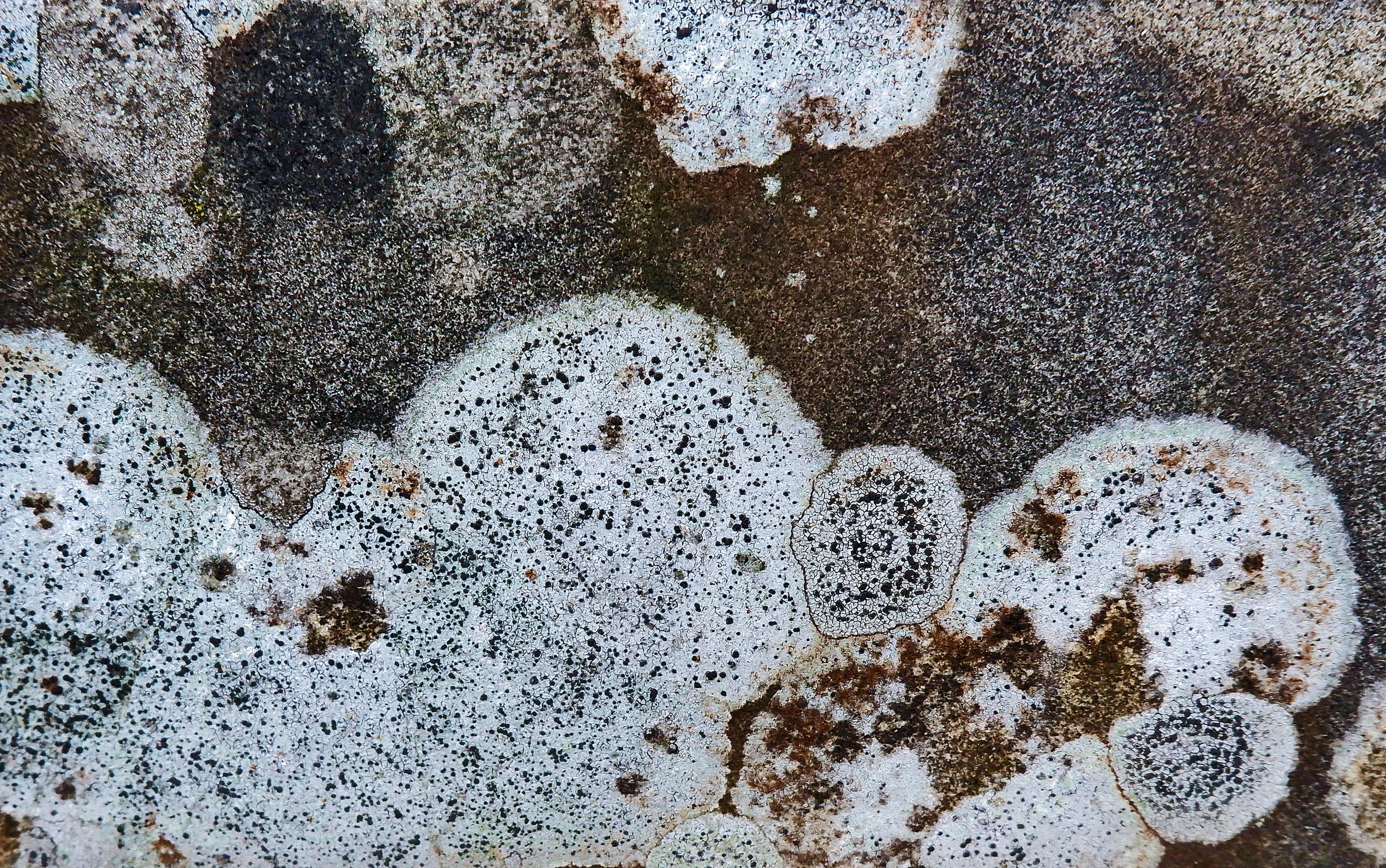 beach, close-up, foam, day, rug, emotion, stain, creativity, love, art and craft, solid, nature, heart shape, smiling, sand, meal, algae, text, no people, HD Wallpaper