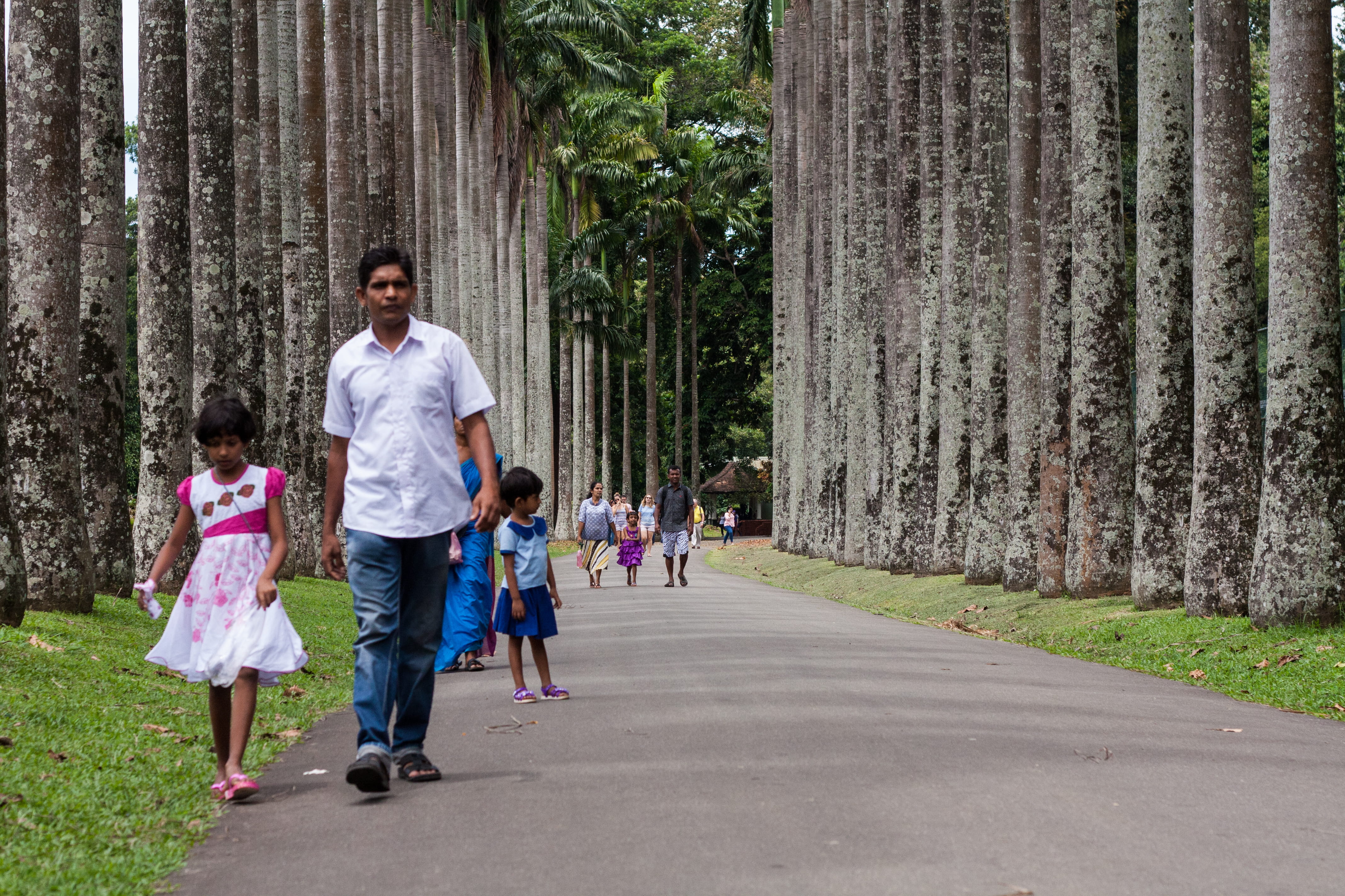 people, 4K, outdoors, kandy, leisure activity, sri lanka, tree, direction, girls, men, daughter, day, park, lifestyles, positive emotion, full length, HD Wallpaper
