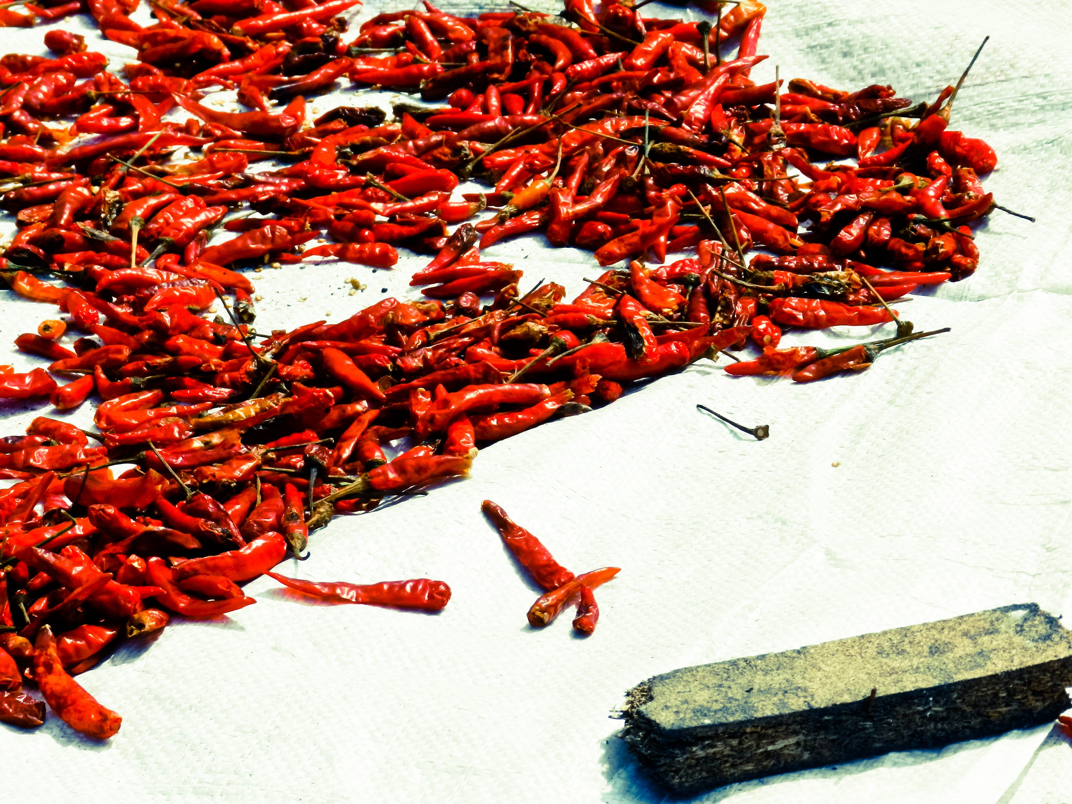 close-up, insect, no people, pepper, thailand, group of animals, spicy, animals in the wild, still life, bangkok, food and drink, ingredient, hood, chiangmai, HD Wallpaper
