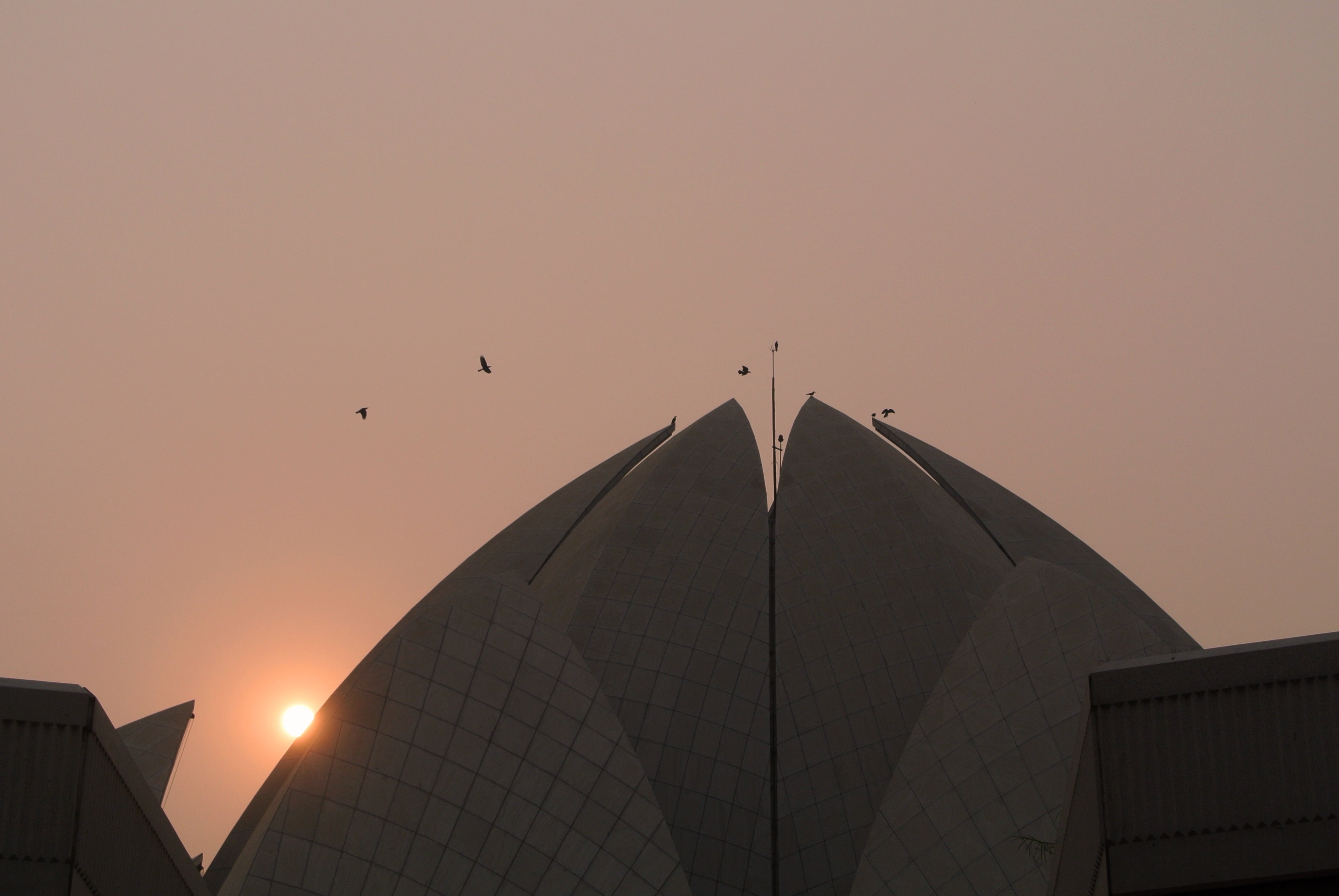 bird, travel destinations, 4K, sky, building exterior, built structure, copy space, travel, architecture, india, sun, low angle view, lotus temple, no people, HD Wallpaper