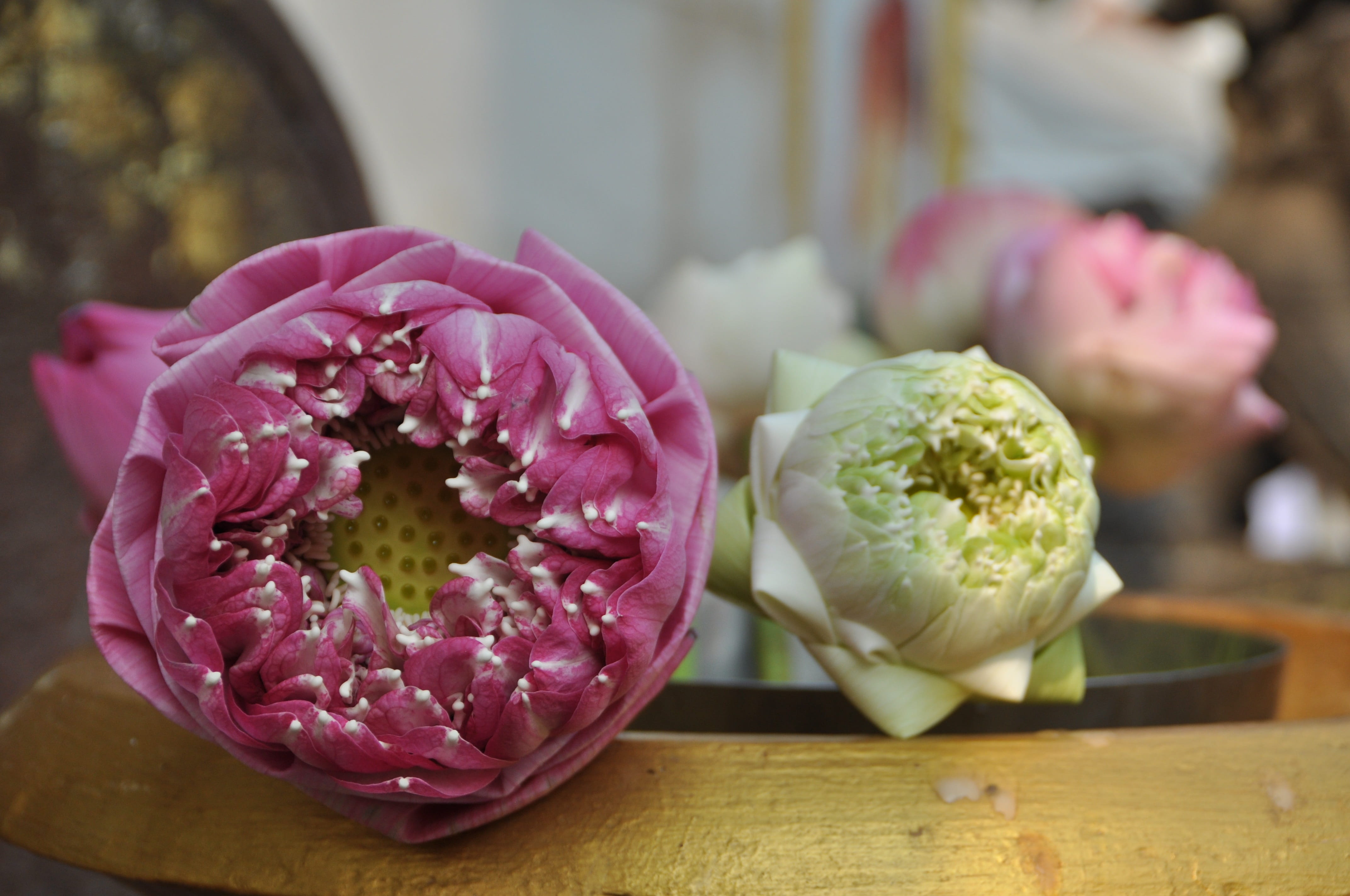 beauty in nature, pink color, still life, 4K, flower arrangement, flower, cutting board, food, no people, healthy eating, wood - material, flower head, HD Wallpaper