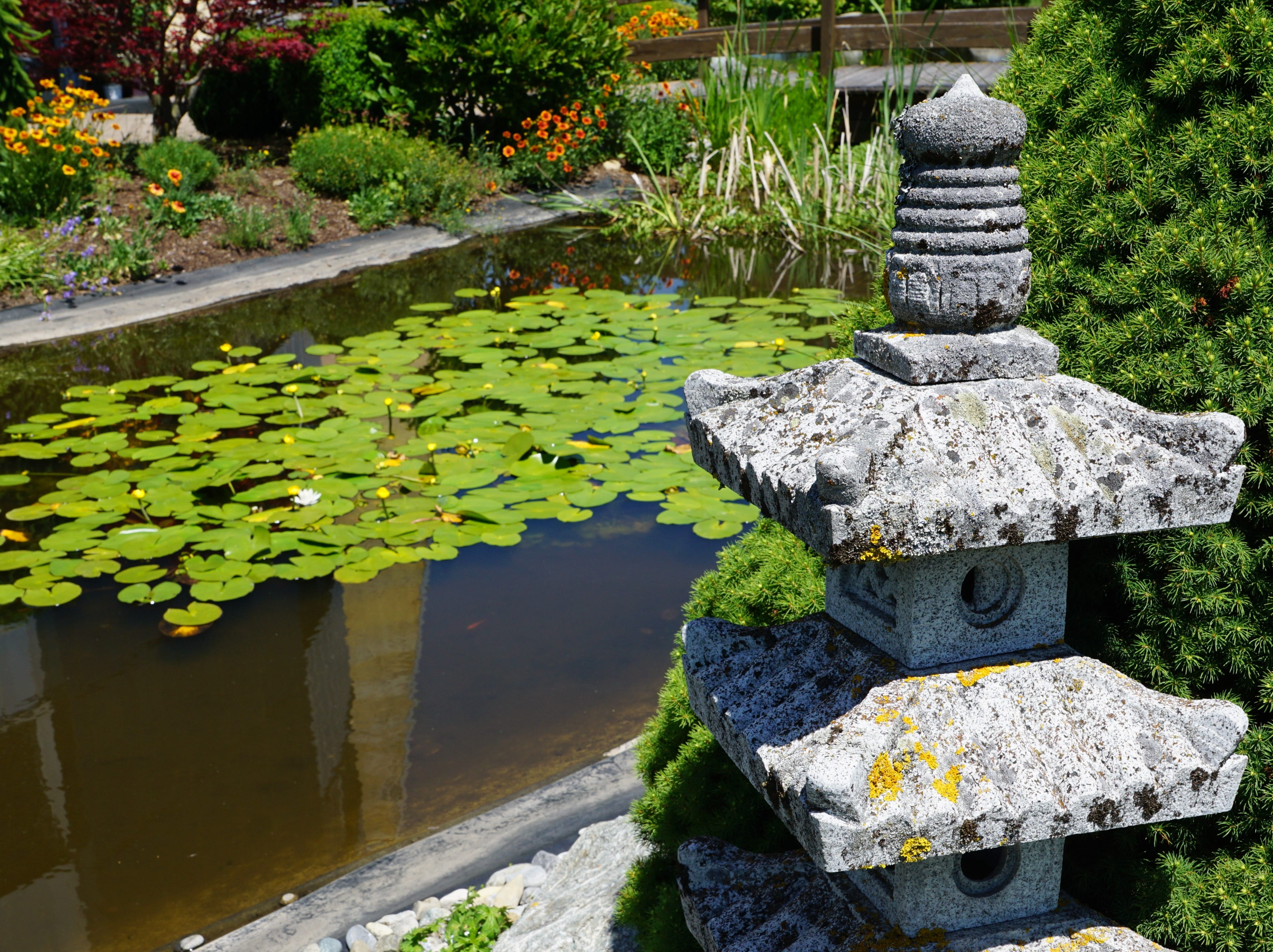 beauty in nature, buddhism, relaxation, healing, tranquility, rest, reflection, holiday, nature, hypnosis, buddha, garden, Monastery, lotus, summer, spa, HD Wallpaper