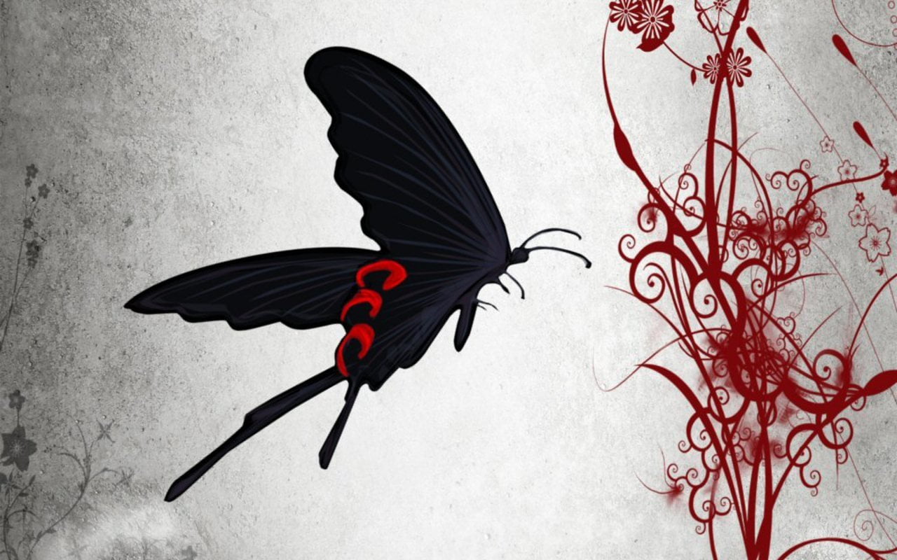 animal themes, mormon, 720P, illustration, bird, black color, Anime, no people, one animal, animal wing, butterfly - insect, indoors, plant, insect, black, HD Wallpaper