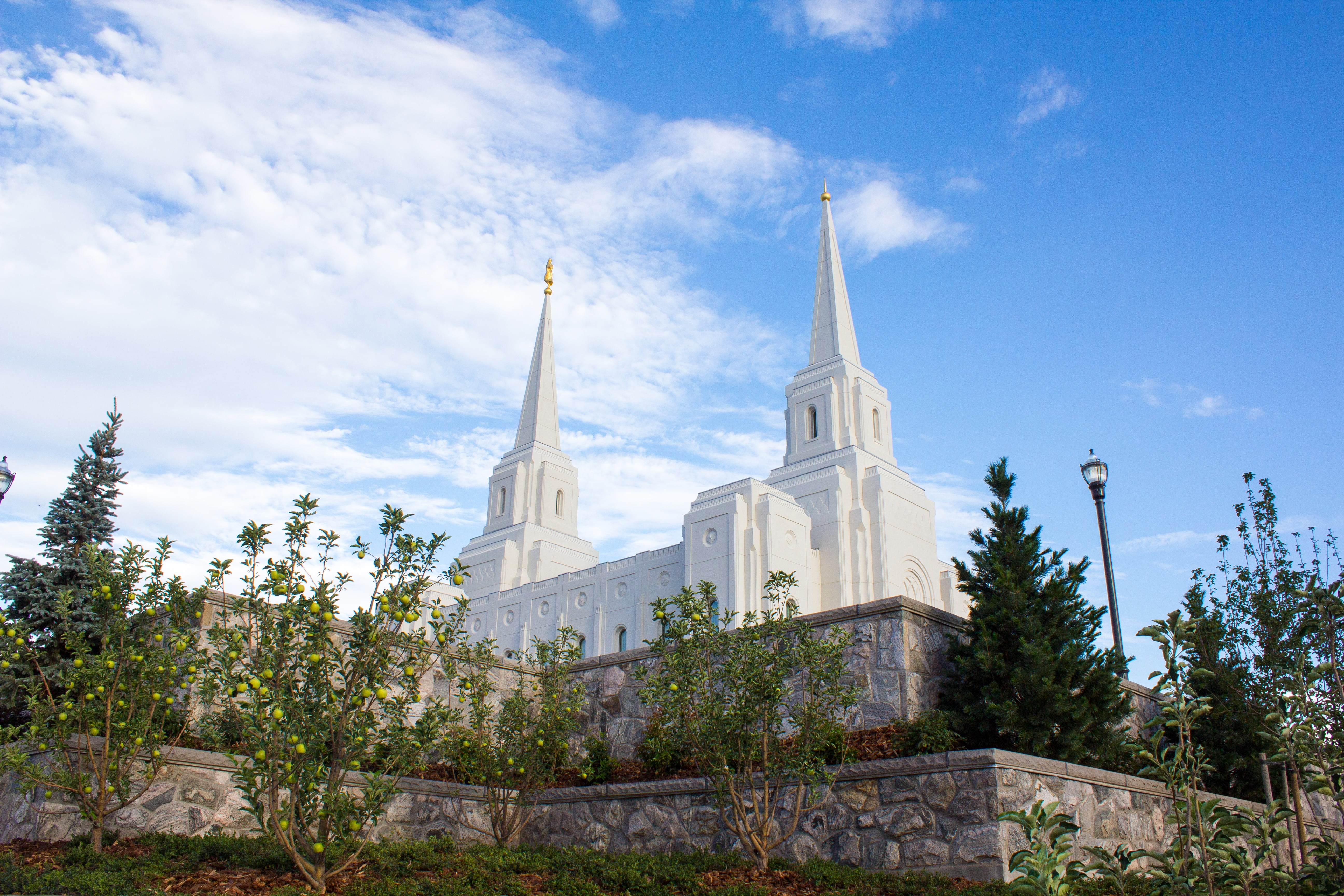 tree, day, city, 5K, travel destinations, historic, plant, cloud - sky, temple, exterior, nature, mormonism, building exterior, steeple, place, tourism, HD Wallpaper