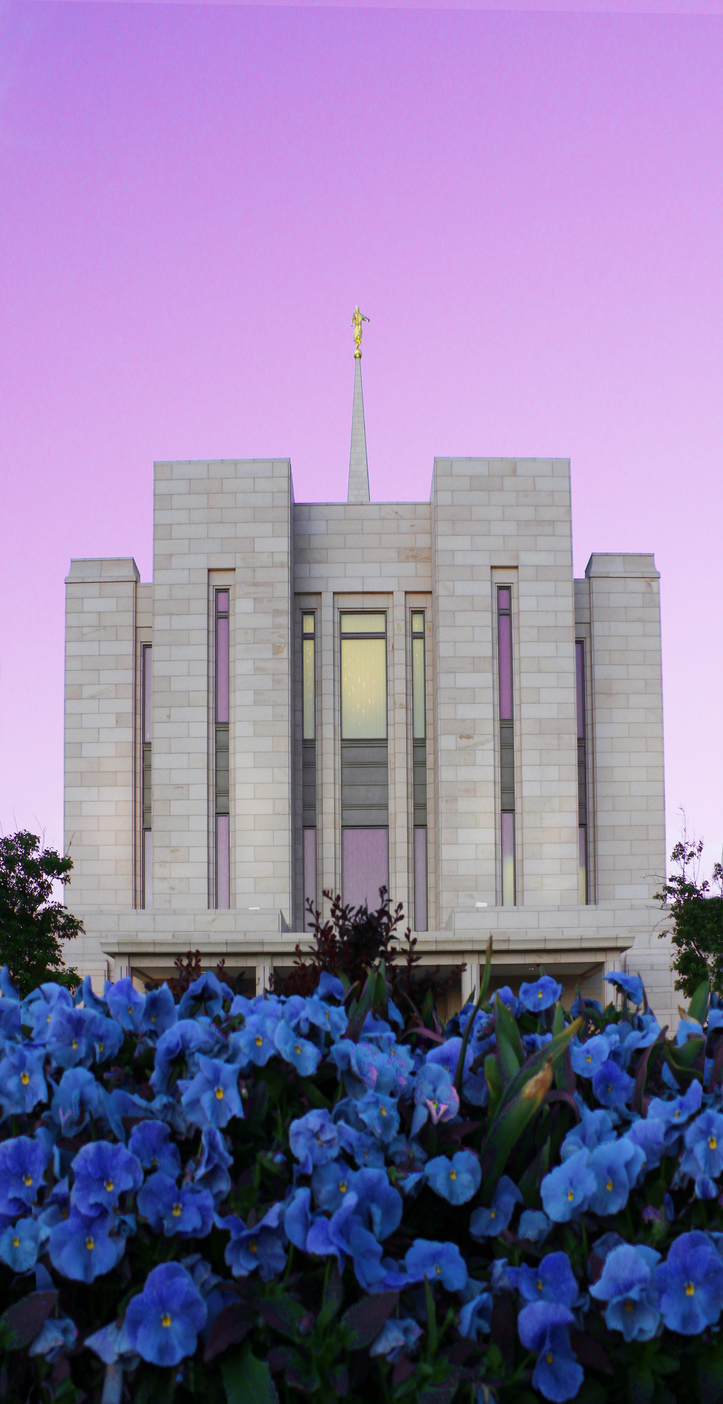 nature, flowerbed, belief, flower, salt, artistic, freshness, no people, sunset, clear sky, pink color, outdoors, temple, purple, jesus, god, building exterior, Phone HD Wallpaper