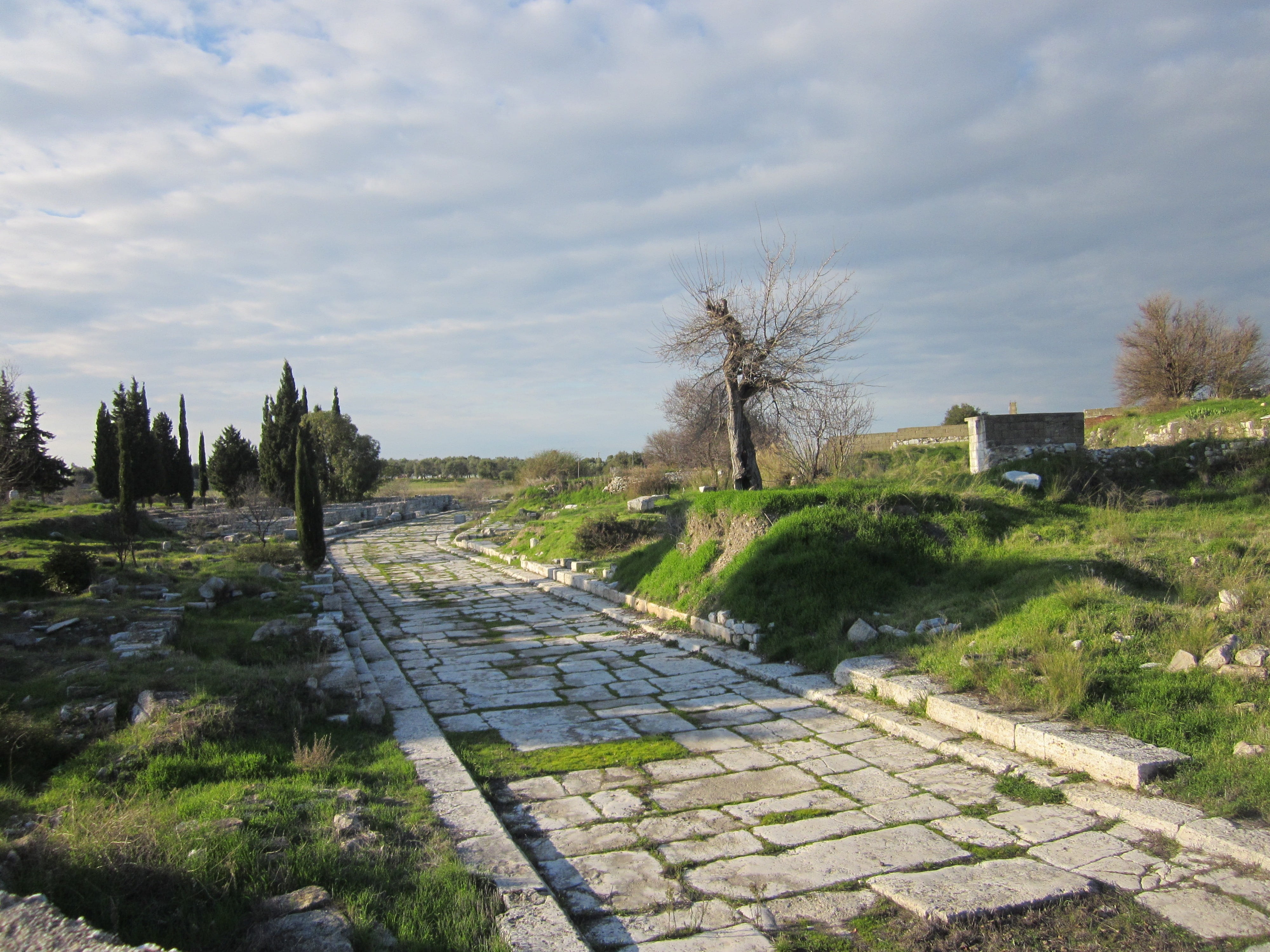 didyma, wall, 4K, architecture, historical, history, the past, cloud - sky, plant, stone, no people, the way forward, didim, ancient, apollo temple, day, HD Wallpaper