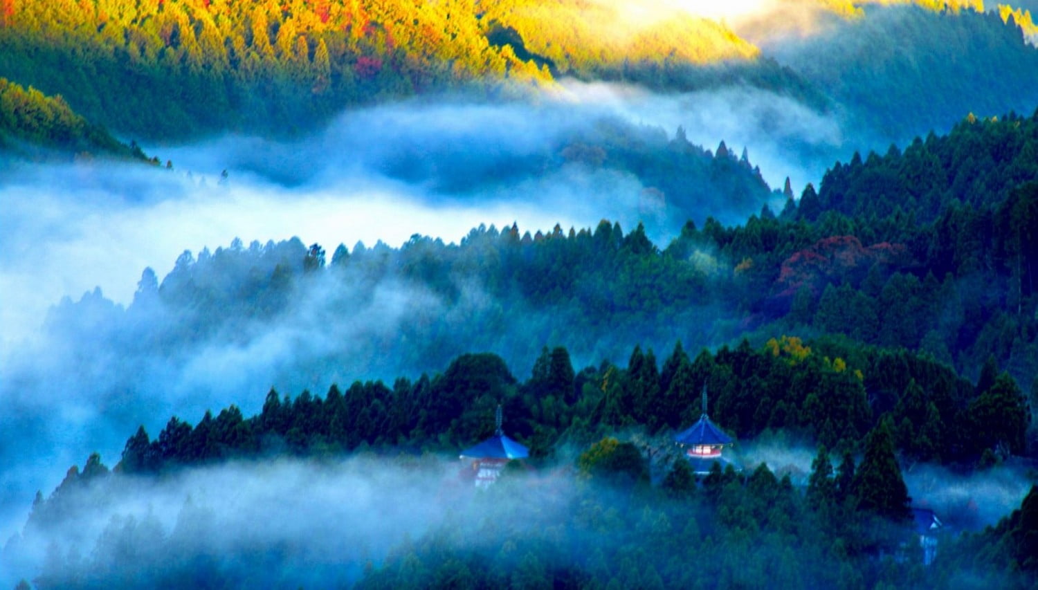 sky, multi colored, sunlight, landscape, plant, blue, environment, beauty in nature, pagoda, water, morning, no people, mist, scenics - nature, Japan, forest, HD Wallpaper