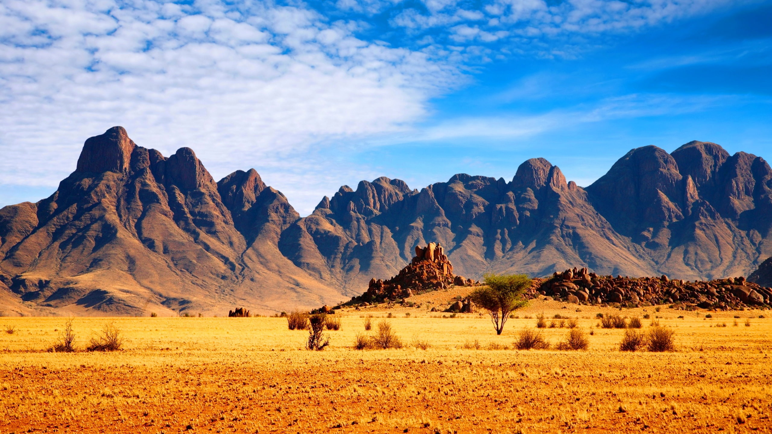 white, clouds, hd, without, savannah, sky, 2K, desktop, mountains, forests, blue, rocky, HD Wallpaper