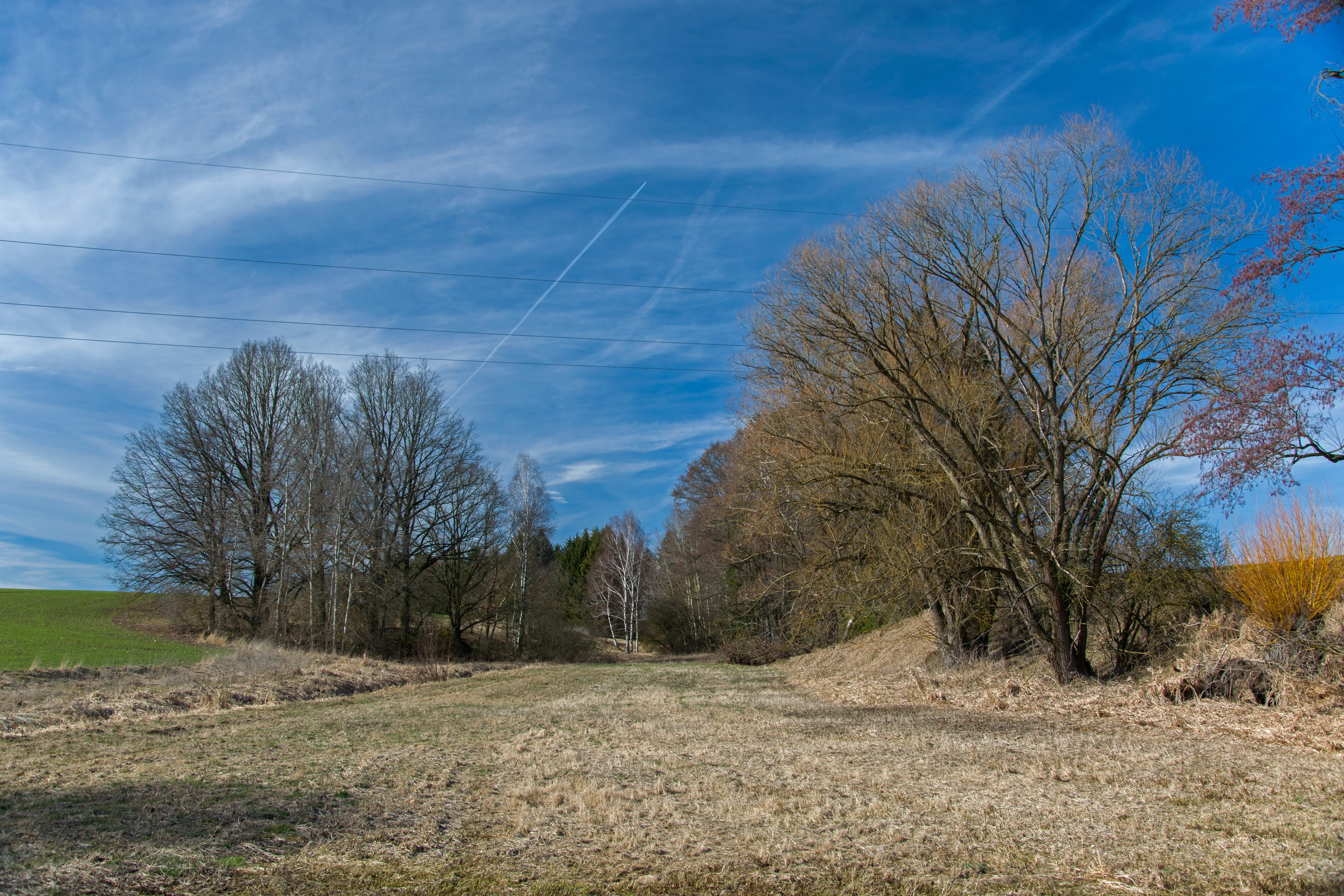 tranquil scene, cloud - sky, bare, sky, grass, bohemia, growth, czech republic, tranquility, landscape, non-urban scene, nature, blue, environment, spring, HD Wallpaper
