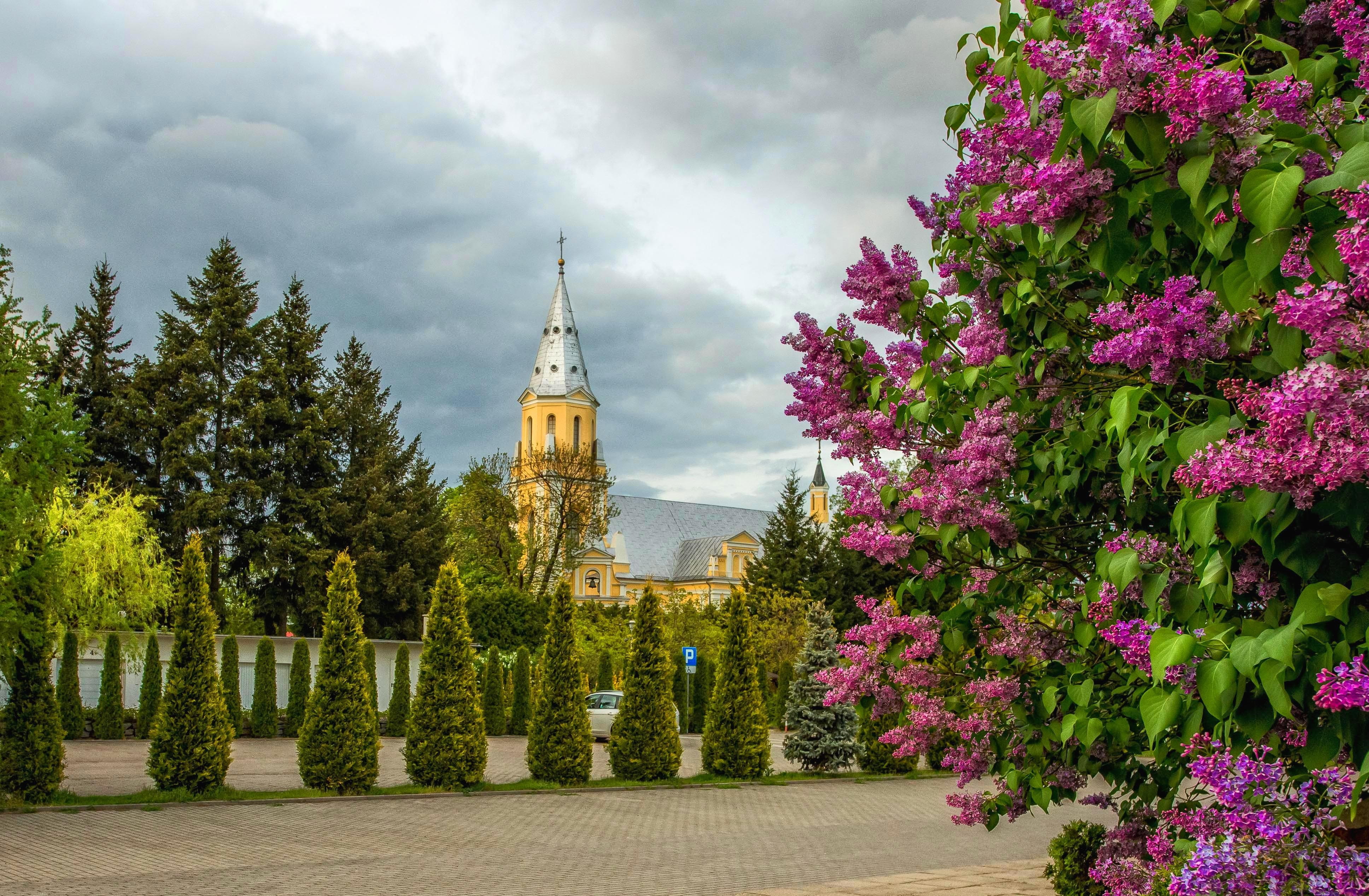 flowering plant, cloud - sky, spire, spacer, colorful, tower, violet, church, outdoors, no people, colored, religion, park, beauty, sky, building exterior, HD Wallpaper